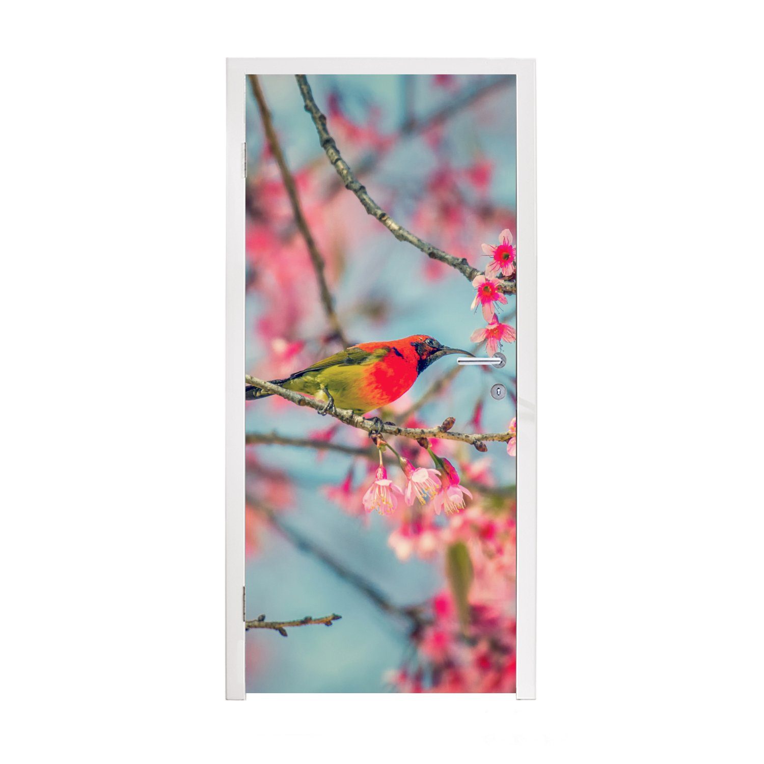 St), für Sakura Vogel - 75x205 Türaufkleber, Farben, Matt, Fototapete (1 cm MuchoWow bedruckt, - Türtapete Tür,