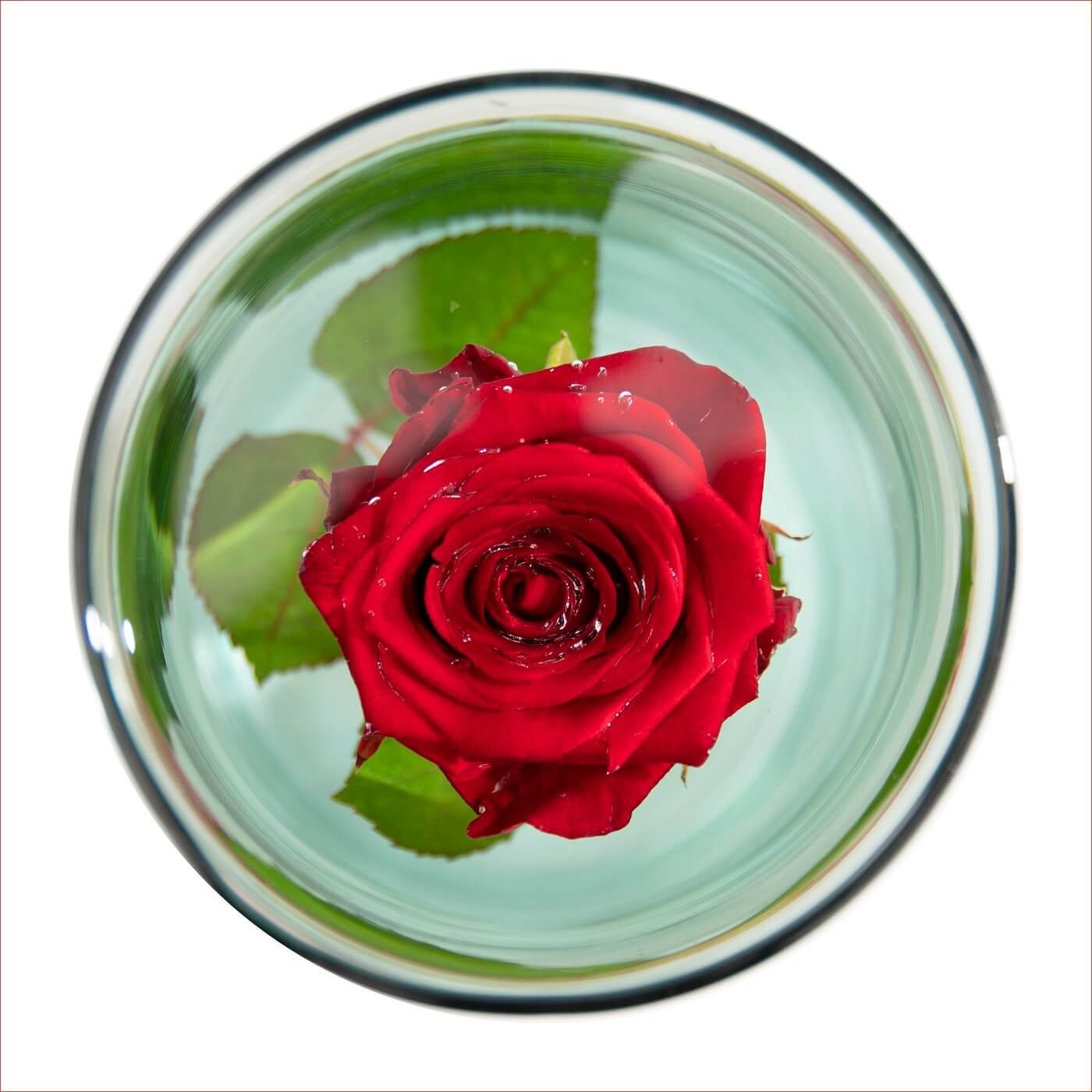 esschert design Kugelvase Versunkene mit unter Vase Pflanzen Wasser 30cm Blumen Deko Glas Vase) Clip (1 Originell