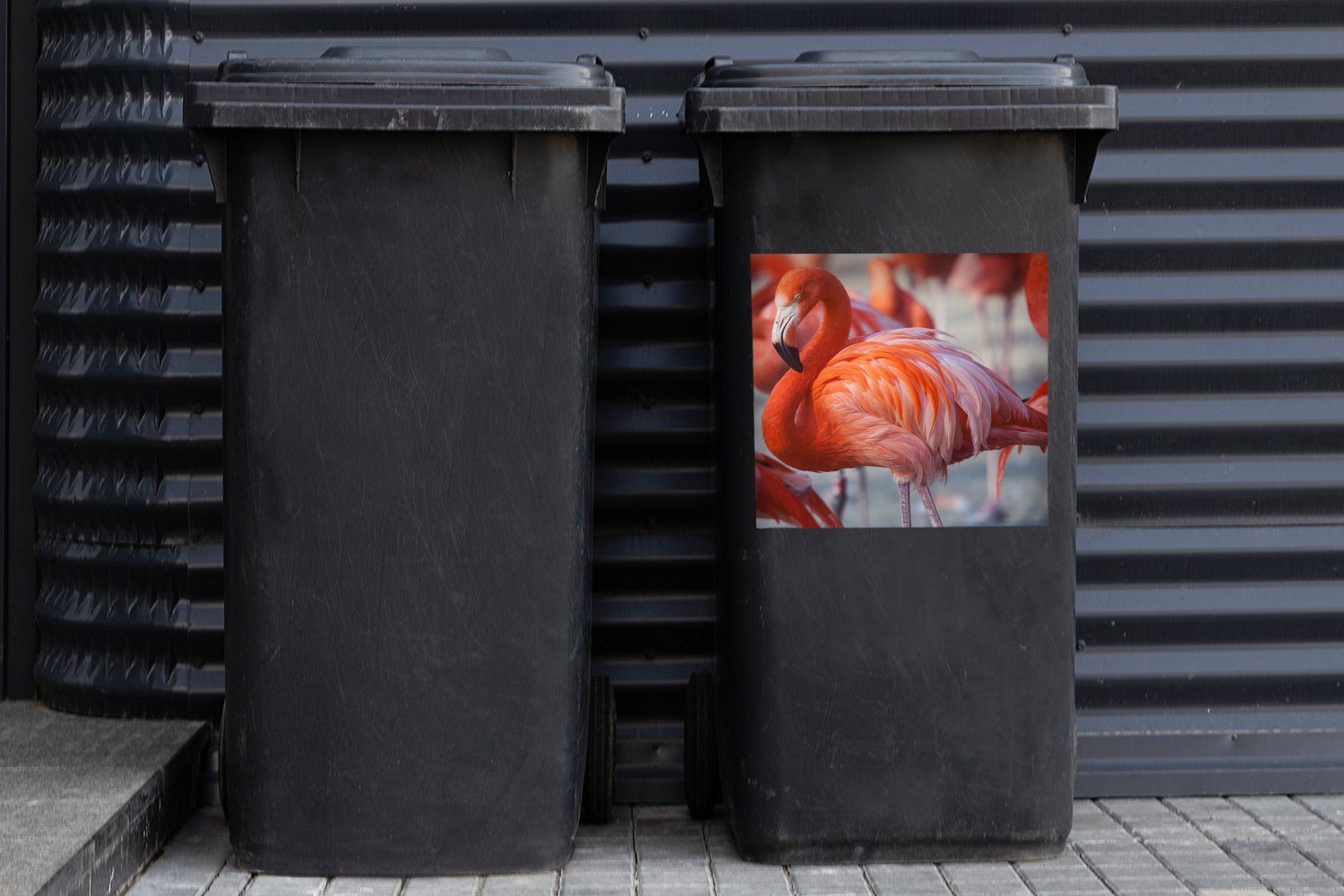 Container, Wandsticker St), - Tiere (1 Vogel Mülleimer-aufkleber, Rosa MuchoWow Flamingo Sticker, Abfalbehälter - - Mülltonne,