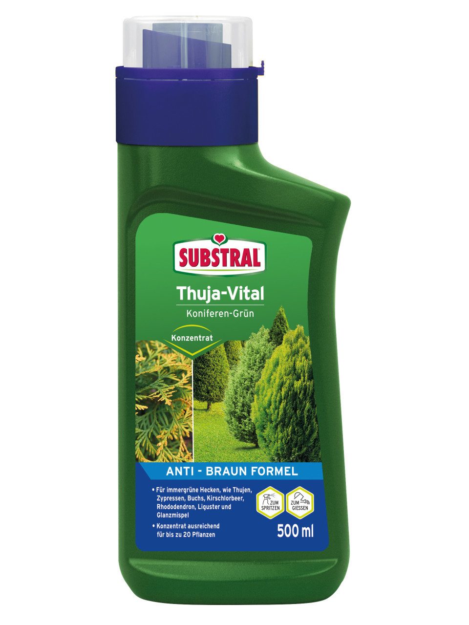 Substral Blumendünger Substral Thuja Vital Koniferen-Grün günstig online kaufen