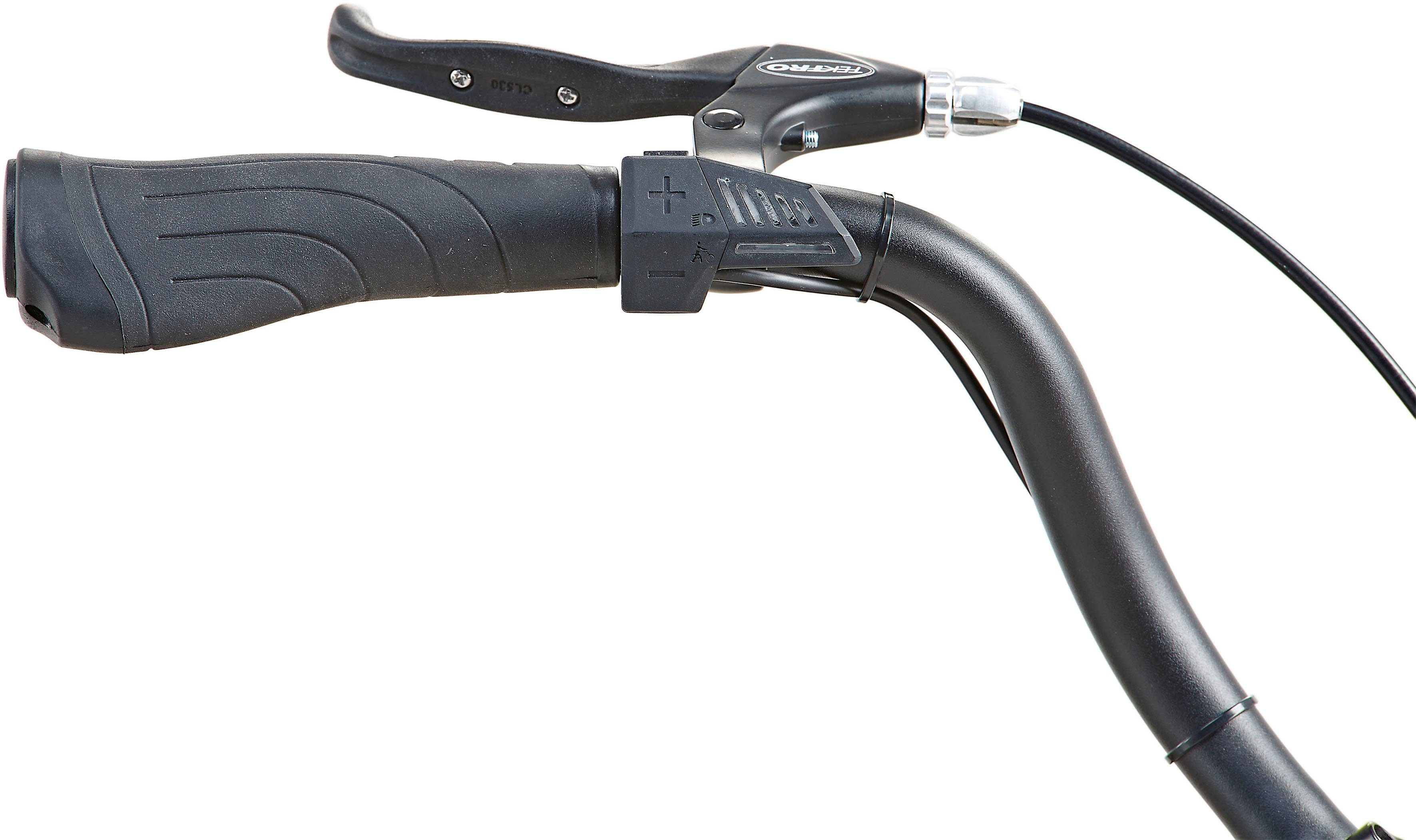 Prophete E-Bike Cityrad Geniesser 1.0, 3 Gang Shimano Nexus Schaltwerk, Nabenschaltung, Frontmotor, 374 Wh, Pedelec, Elektrofahrrad für Damen u. Herren