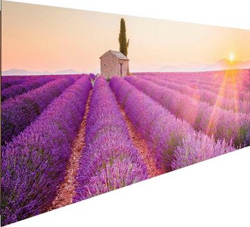 Home affaire Deco-Panel Lavendel Horizont