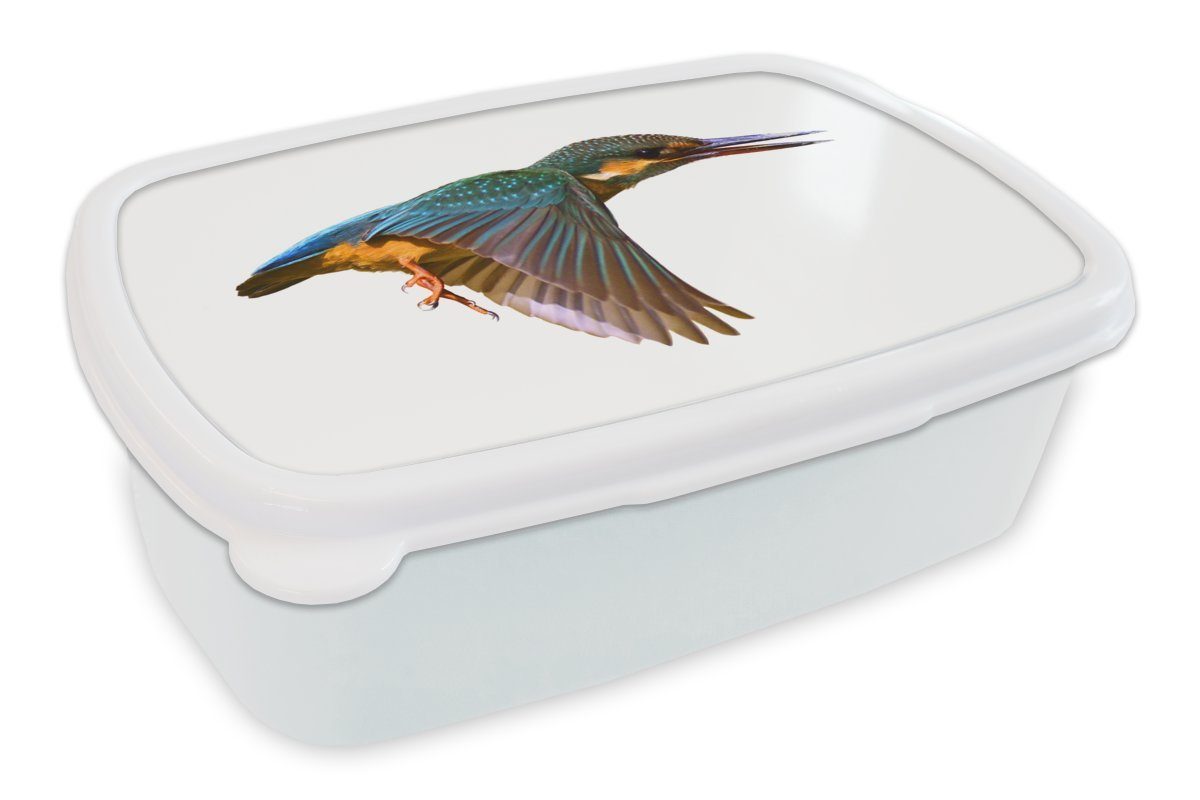 MuchoWow Lunchbox Eisvogel - Fliegen - Tiere, Kunststoff, (2-tlg), Brotbox für Kinder und Erwachsene, Brotdose, für Jungs und Mädchen weiß