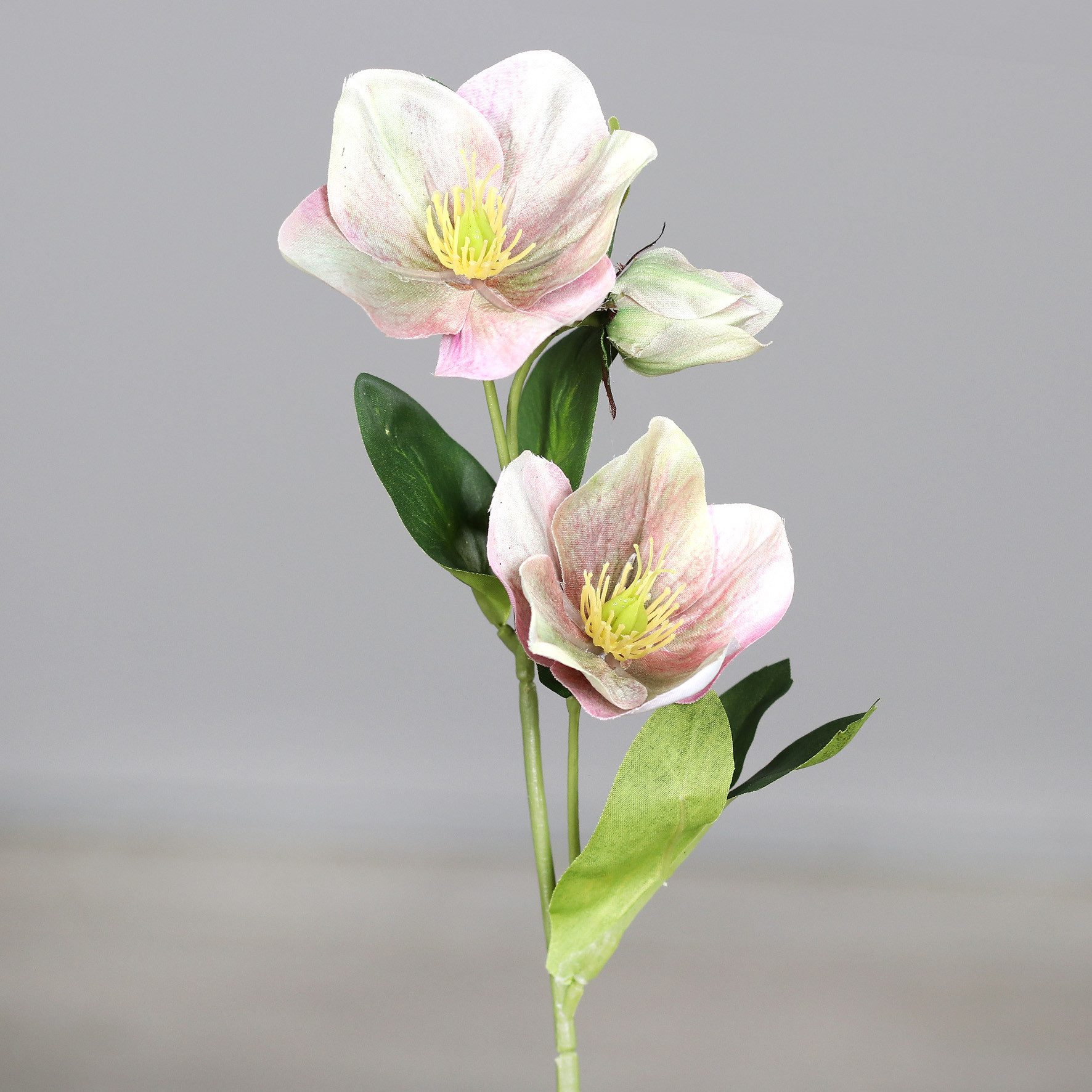 Kunstblume Christrosenzweig 35cm DP künstliche Christrose Schneerose Blumen günstig online kaufen