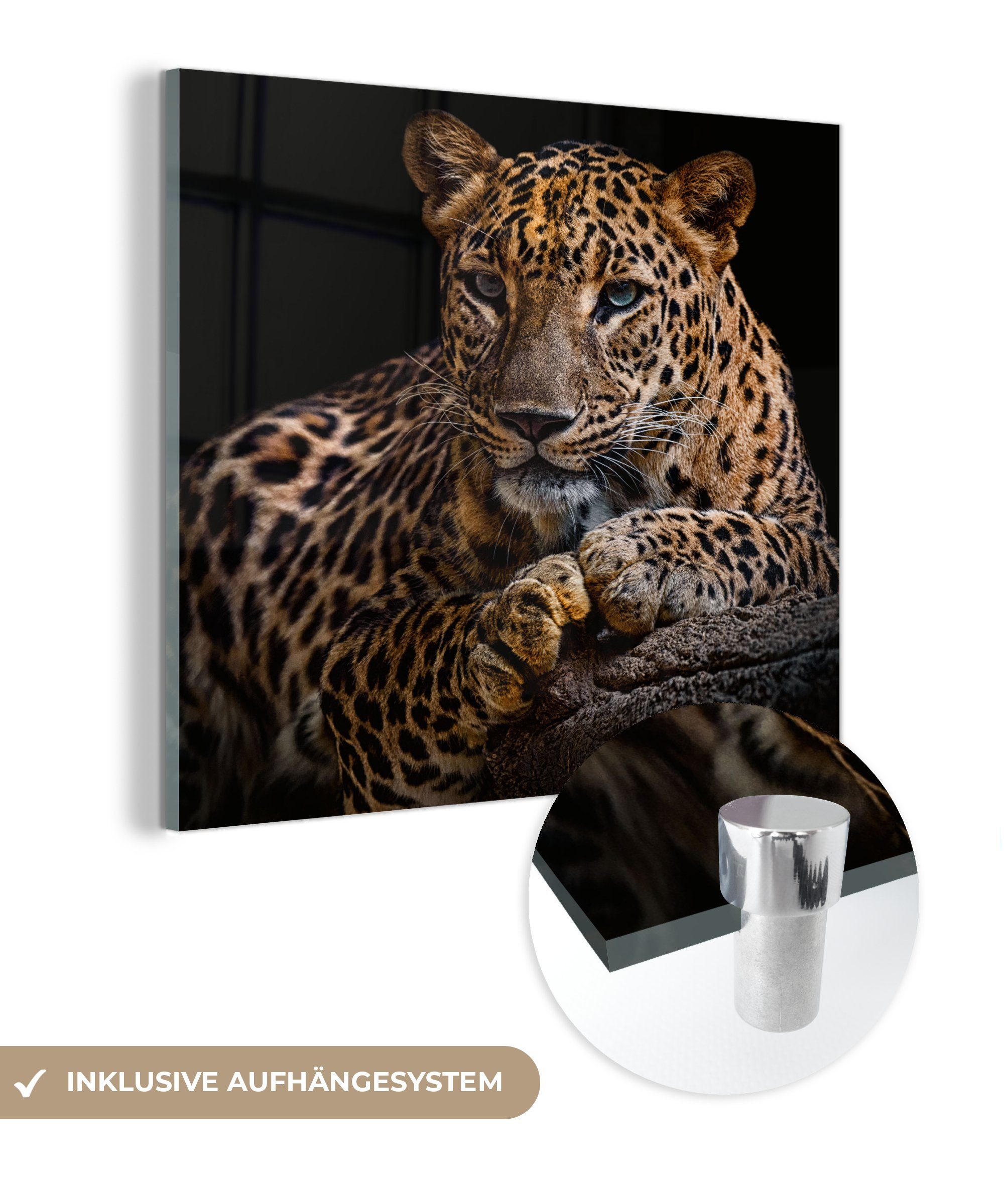 MuchoWow Acrylglasbild Wildtiere - Panther - günstig online kaufen