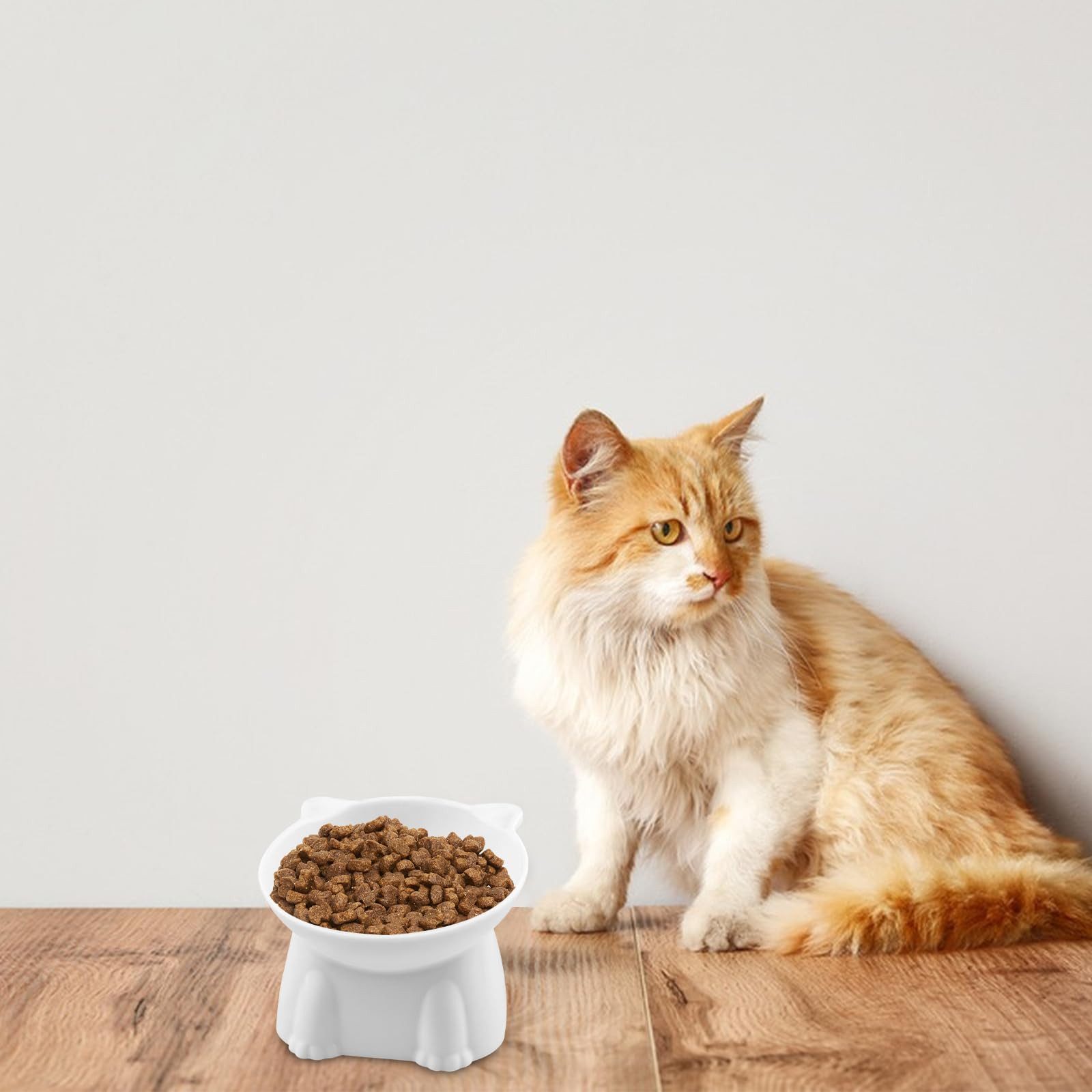 Ledander Futternapf Futternapf Katze,Katzennapf Erhöht mit 15 Grad Neigendem Design, Katzennapf für Katze Hunde Welpe Futter Und Wasser