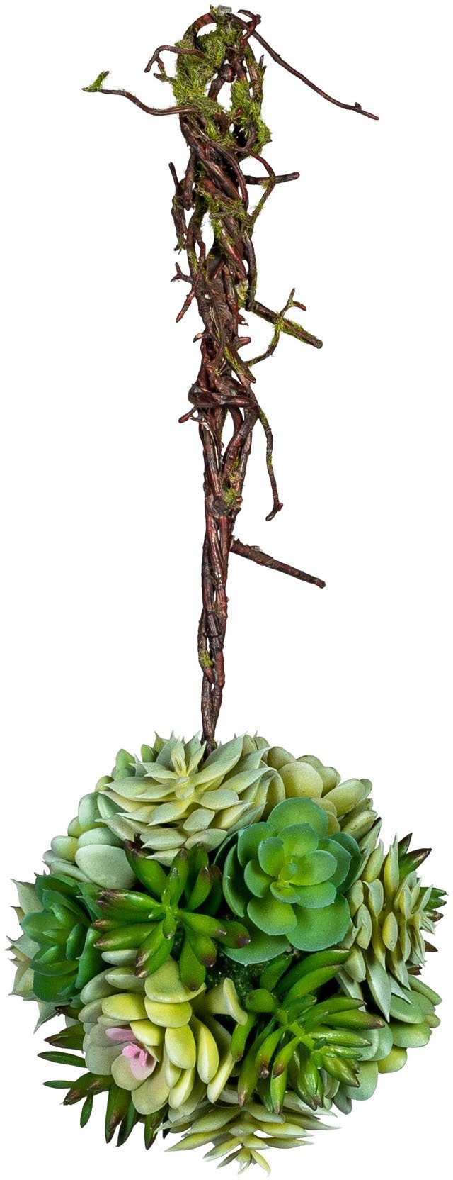 green, Kunstpflanze Hänger mit Sukkulente, Creativ cm Höhe 35 Sukkulentenkugel