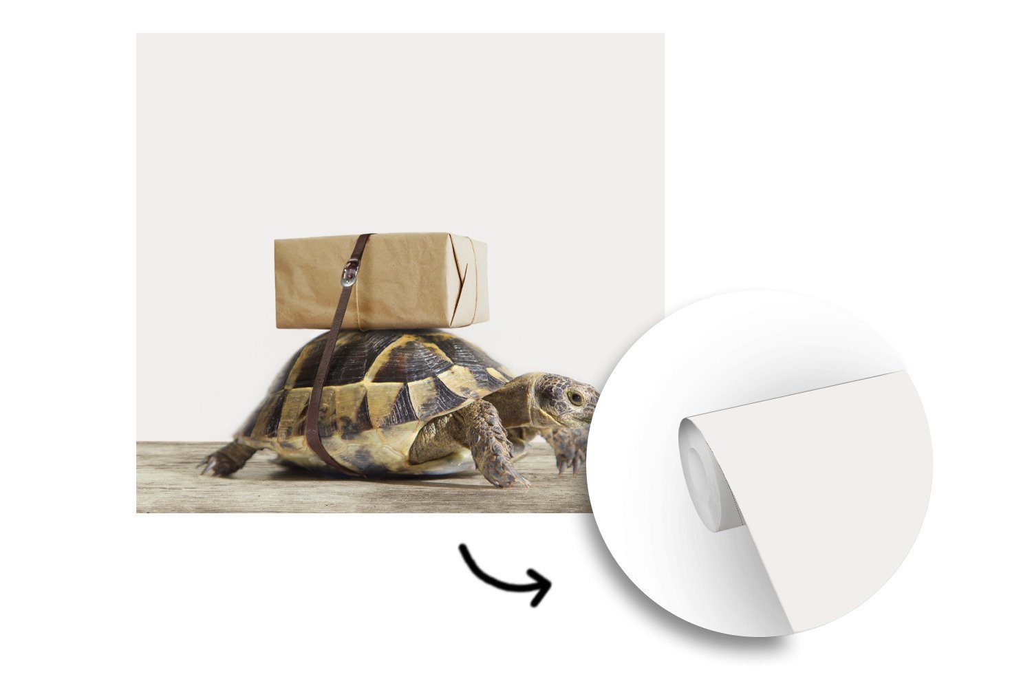 (5 oder - Matt, Wohnzimmer Schildkröte - Tapete - für Holz Mädchen Jungen MuchoWow Fototapete bedruckt, Weiß Kinder, - Wandtapete - Schlafzimmer, Vinyl St),