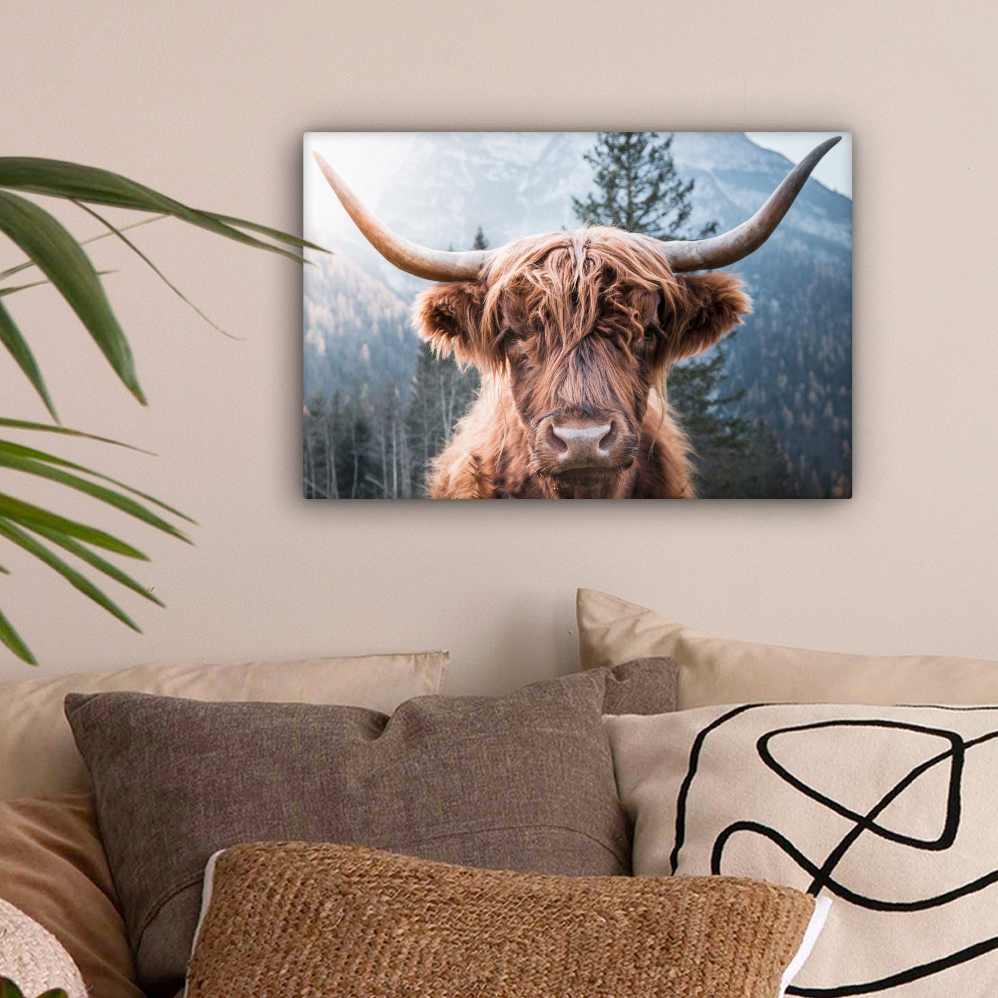 OneMillionCanvasses® Leinwandbild Schottischer Highlander - Berge günstig online kaufen