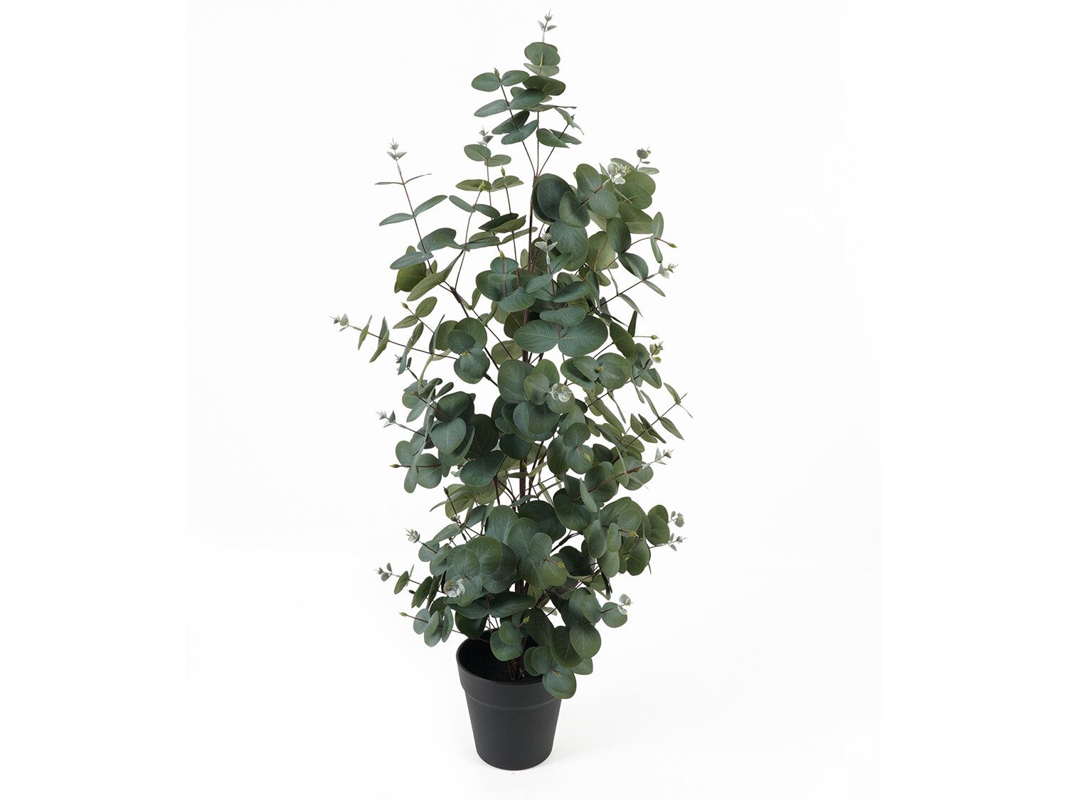 Kunstpflanze Künstlicher Eukalyptus im Topf EDEN, 78 cm Zimmerpflanze, Present Time, Höhe 78 cm