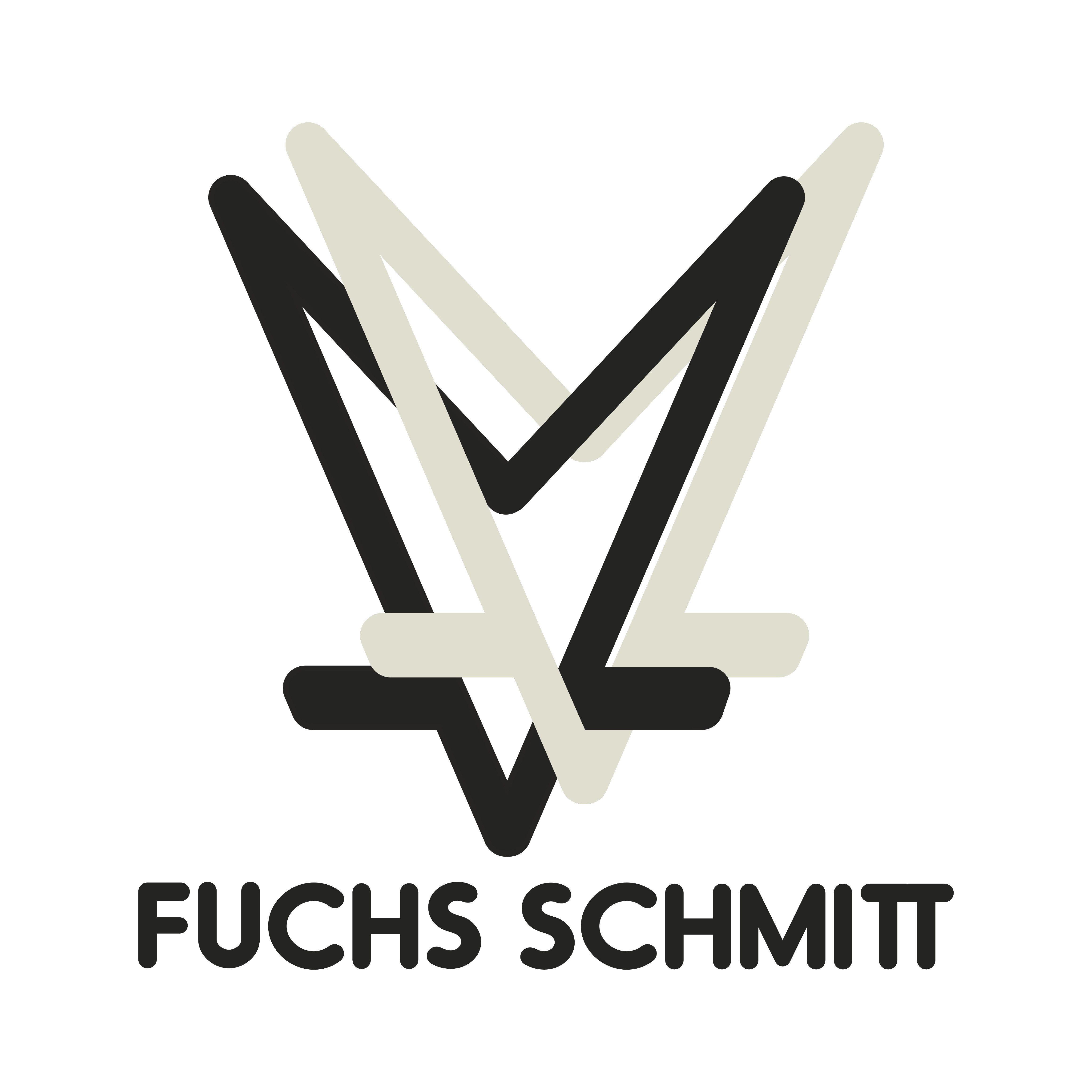 Fuchs Schmitt