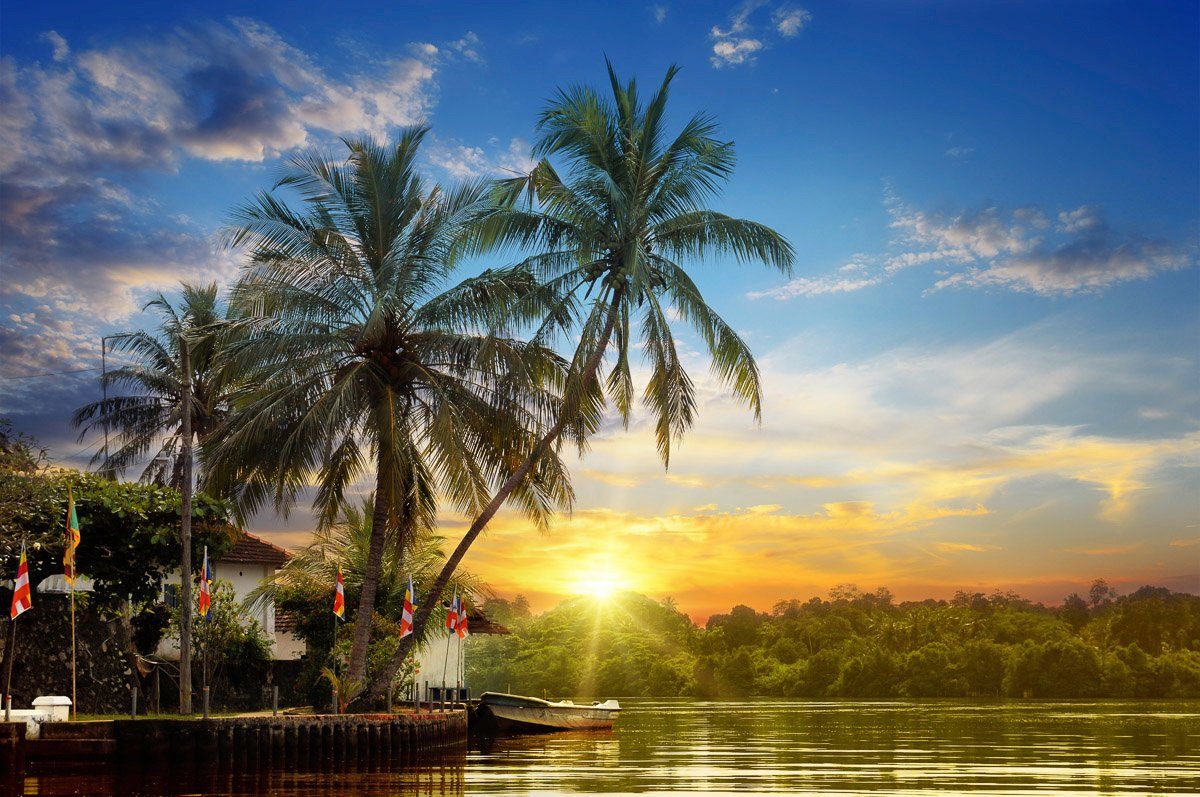 Papermoon Fototapete Tropischer Palmen-Sonnenaufgang