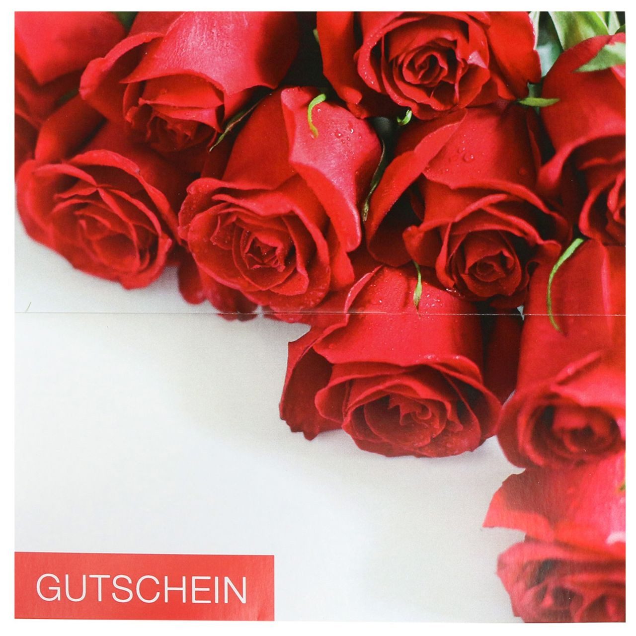 Florists Products Grußkarten Geschenkkarte mit Rosenmotiv und Gratisumschlag für besondere