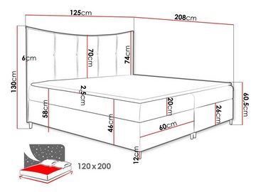 MIRJAN24 Boxspringbett Bergamo (mit Hauptmatratze, Topper, Kopfteil), 120, 140, 160, 180, 200 / 200 cm, Doppelbett mit zwei Bettkästen
