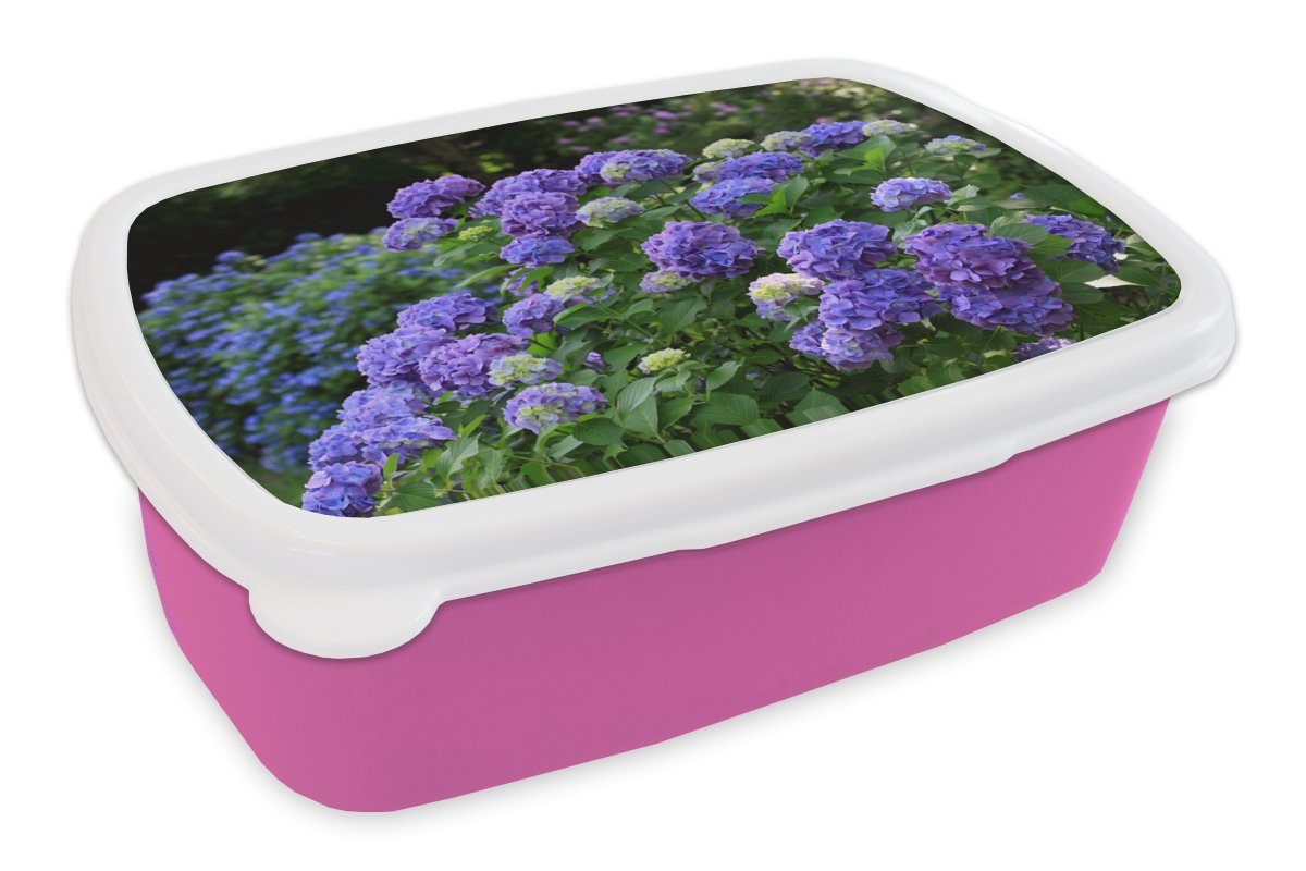 Mädchen, Brotdose Kunststoff, Lila in Erwachsene, für Snackbox, Kinder, MuchoWow Garten, rosa japanischen Kunststoff einem Brotbox (2-tlg), Lunchbox Hortensien