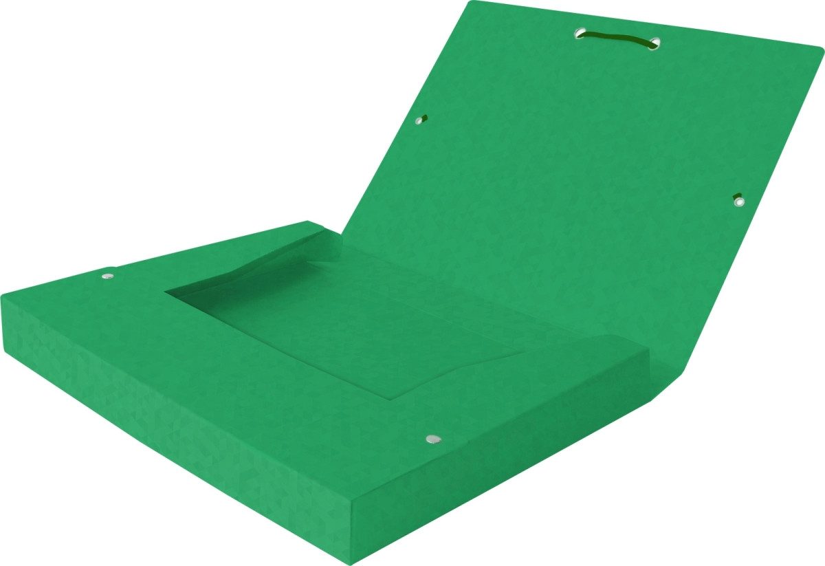 Fächermappe Sammelbox Top File+ A4 25mm 390g/qm Multistrat grün