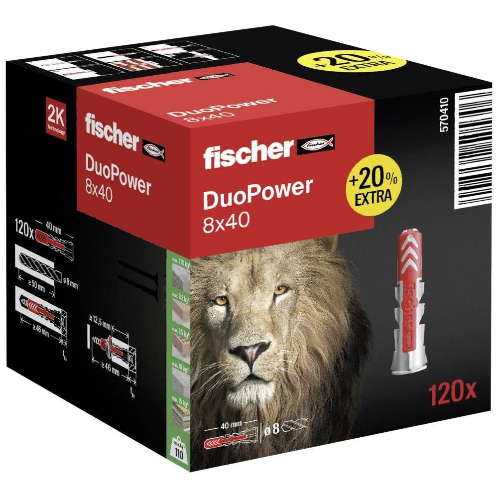 fischer Dübel-Set Löwen-Aktionsbox DuoPower 8 x 40 (20% mehr