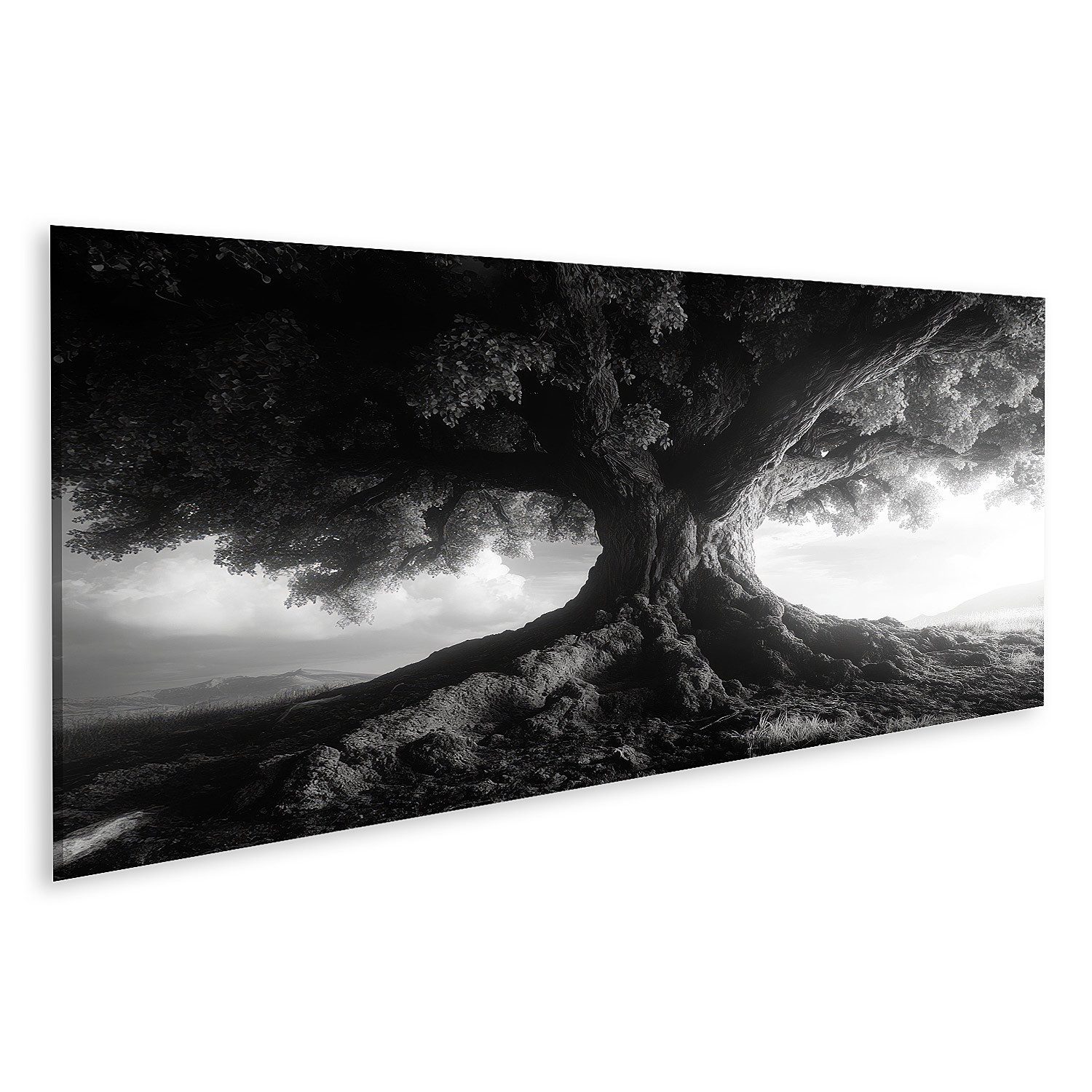 islandburner Leinwandbild, Majestätischer Baum in dramatischer Schwarzweißlandschaft