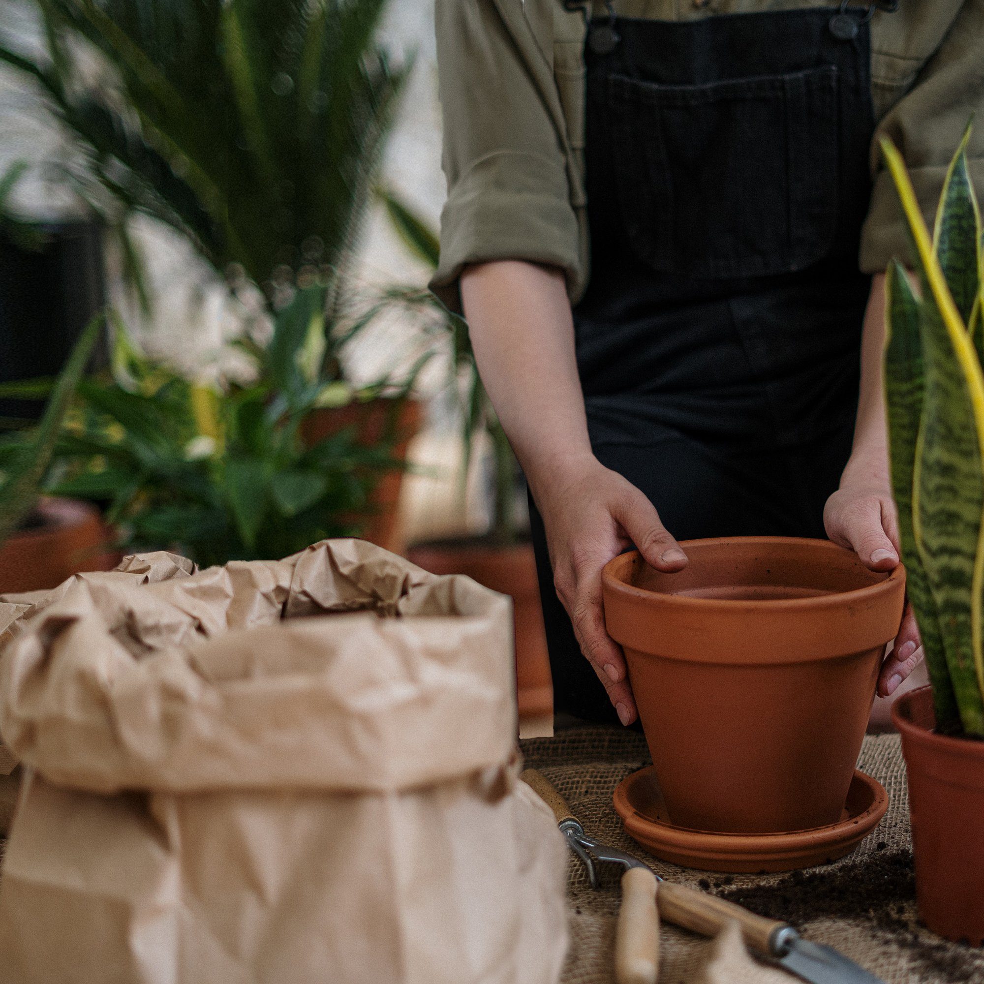 Jürgen Westerholt GmbH Washbasin Set, (1 pc), Outdoor Stainless Steel Washbasin with Faucet