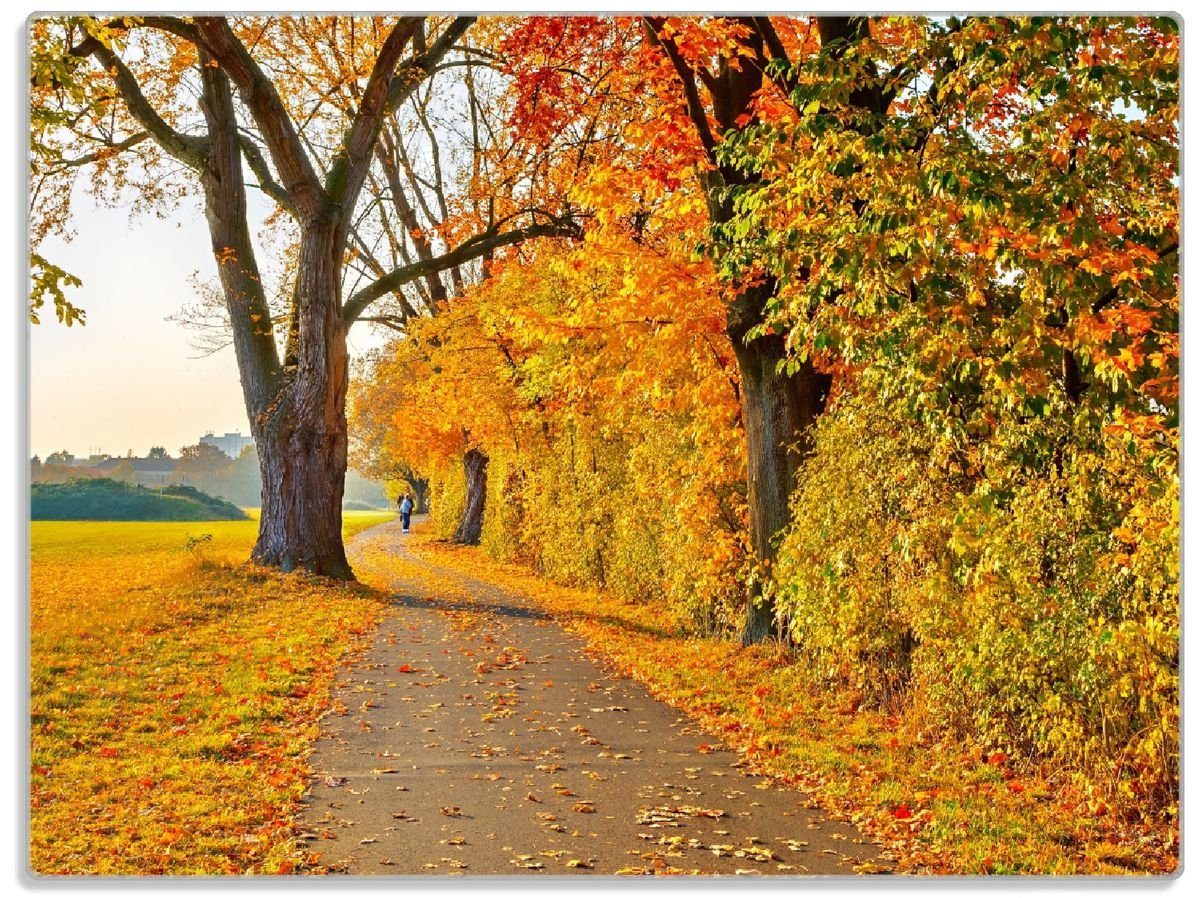 1-St), Gummifüße buntem Herbstlicher (inkl. Wallario ESG-Sicherheitsglas, Waldweg mit rutschfester 4mm, Laub, 30x40cm Schneidebrett