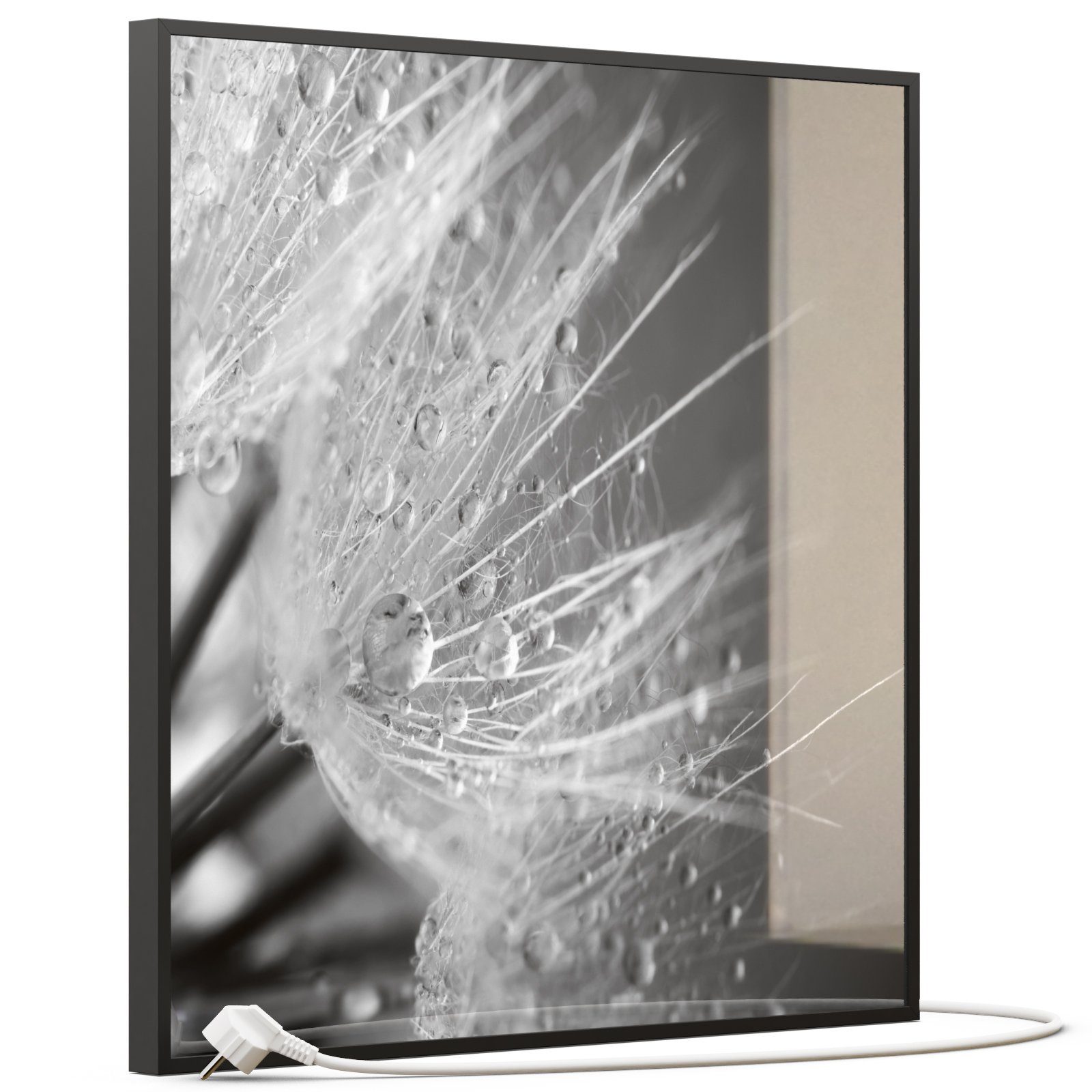 STEINFELD Heizsysteme Infrarotheizung, Glas Bild 350W-1200W, Inklusive Thermostat, 063 Löwenzahn