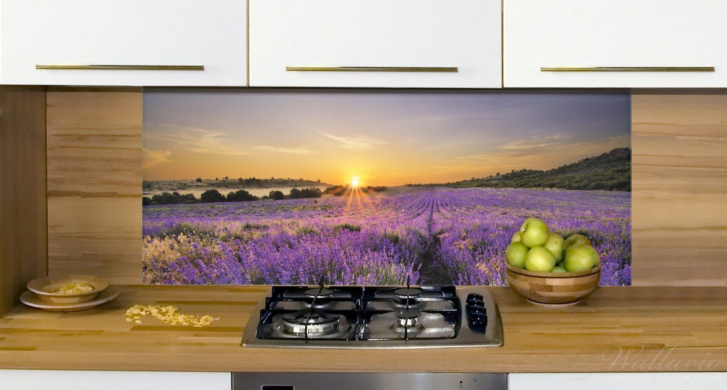 über Wallario Küchenrückwand Sonnenuntergang (1-tlg) dem Lavendel,