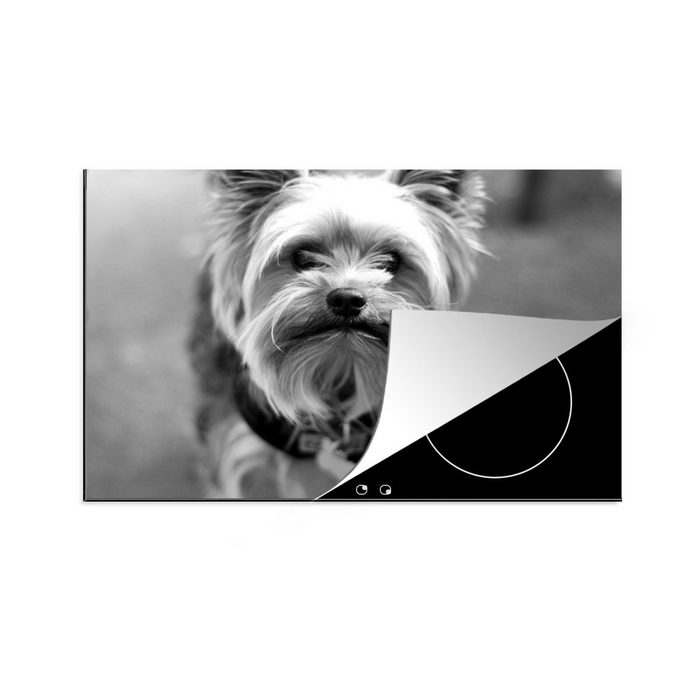 MuchoWow Herdblende-/Abdeckplatte Nahaufnahme eines Yorkshire Terriers - schwarz und weiß Vinyl (1 tlg) Ceranfeldabdeckung für die küche Induktionsmatte