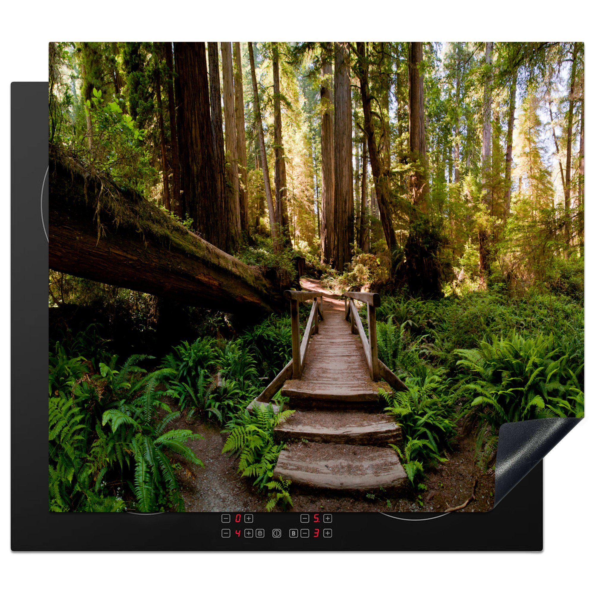 MuchoWow Herdblende-/Abdeckplatte Dschungel - Natur - Treppe - Bäume, Vinyl, (1 tlg), 57x51 cm, Induktionsschutz, Induktionskochfeld, Ceranfeldabdeckung
