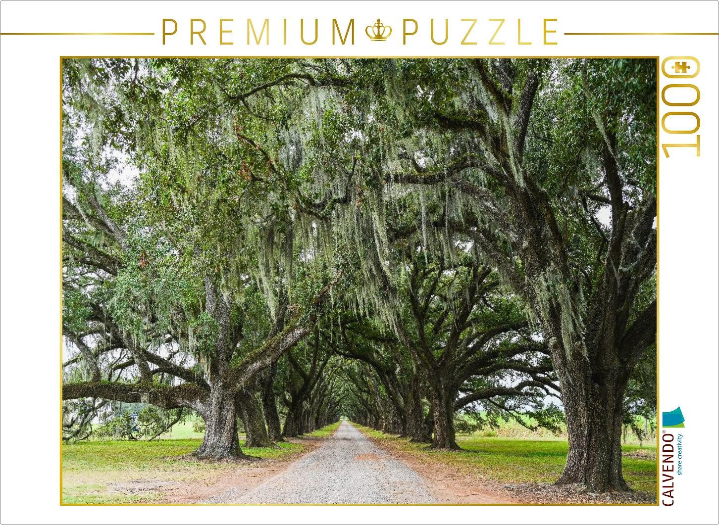 CALVENDO Puzzle CALVENDO Puzzle Oak avenue with Louisiana moss, 1000 pieces, finished, 1000 Puzzleteile