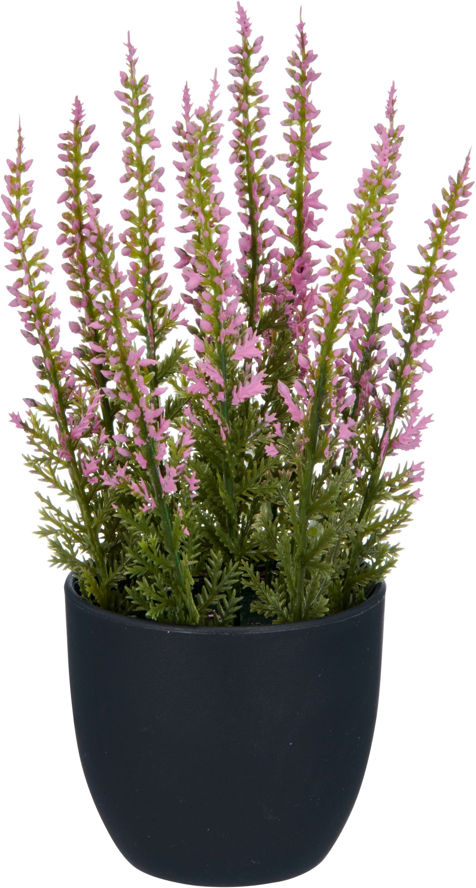 Kunstpflanze Heidepflanze, Creativ green, Höhe 17 cm, mit detailgetreuer Ge günstig online kaufen