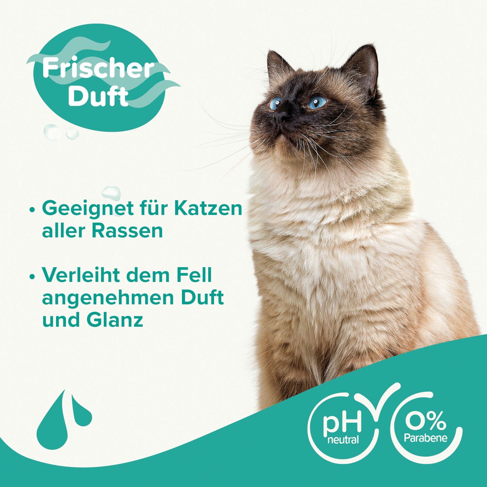 beaphar Tiershampoo Shampoo für Katzen - 250 ml, 250 ml