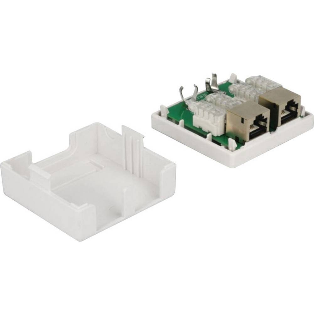 Delock Netzwerk Anschlussdose 2 Port Cat.6 86269 Netzwerk-Adapter