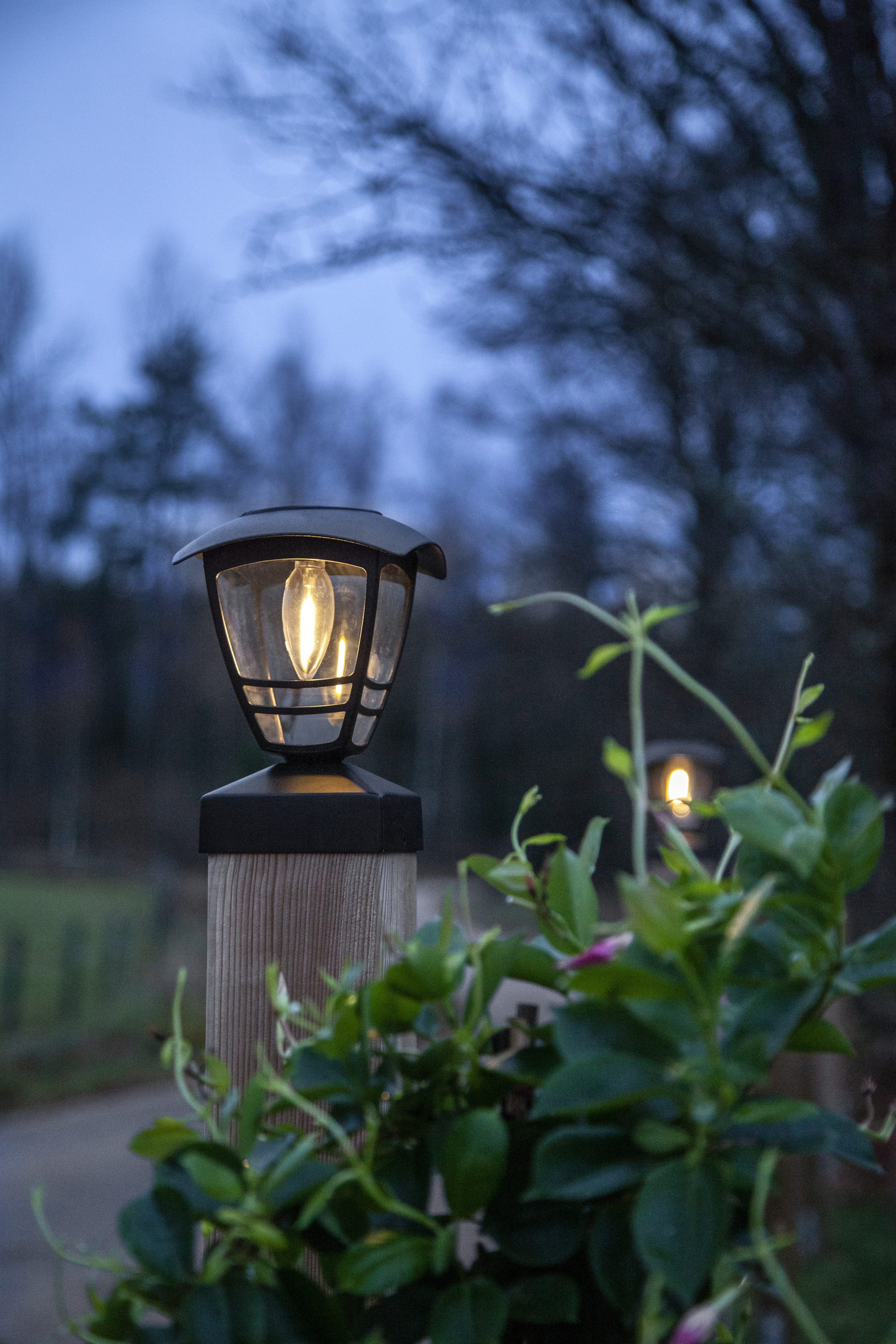 STAR TRADING LED Solarleuchte Solar Dekoration Felix, Tageslichtsensor, LED fest integriert, Warmweiß, Pfostenleuchte mit Filament-LED, Dämmerungssensor