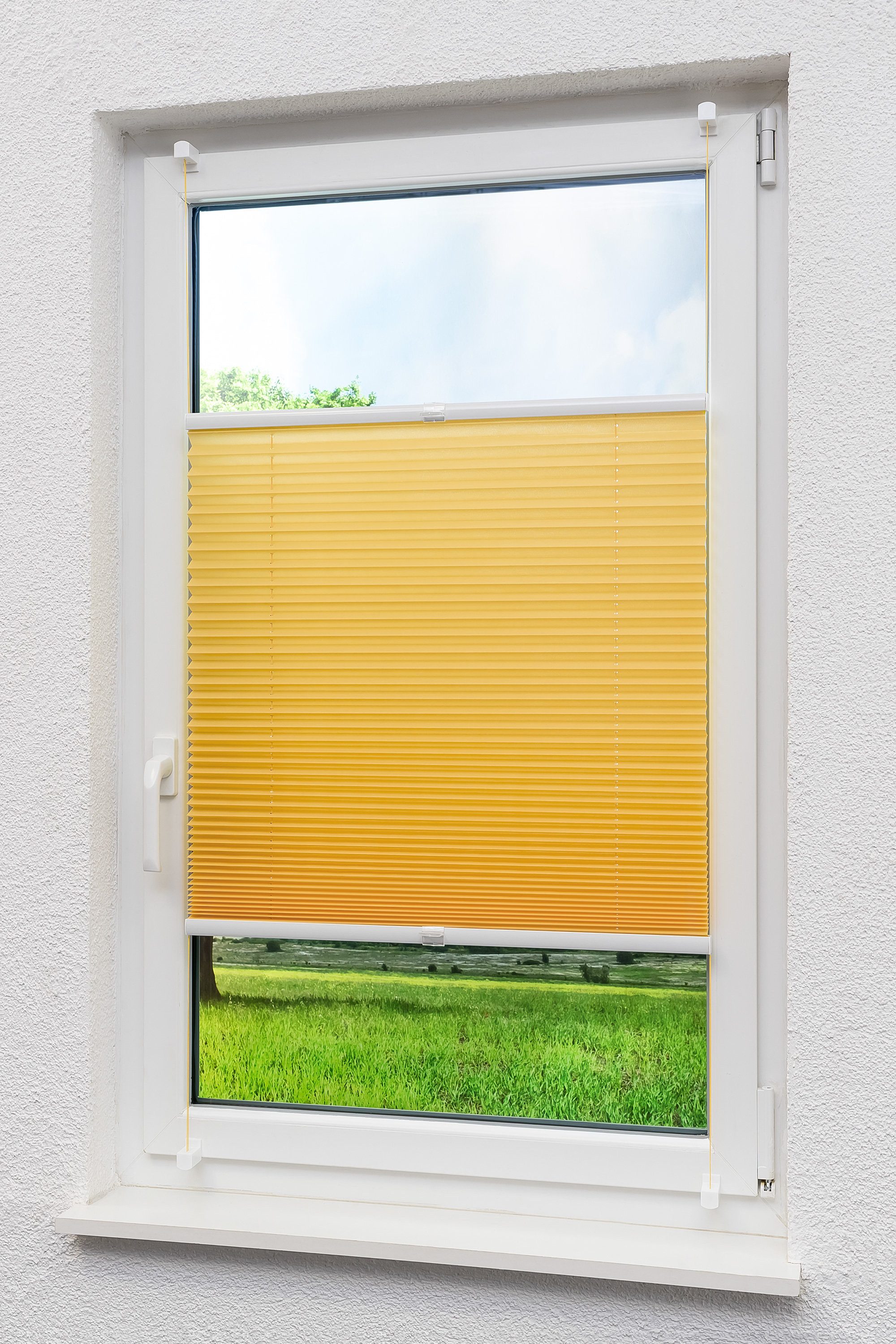 LYSEL® Plissee Rapid Klemmen Gelb, blickdicht, günstig online kaufen