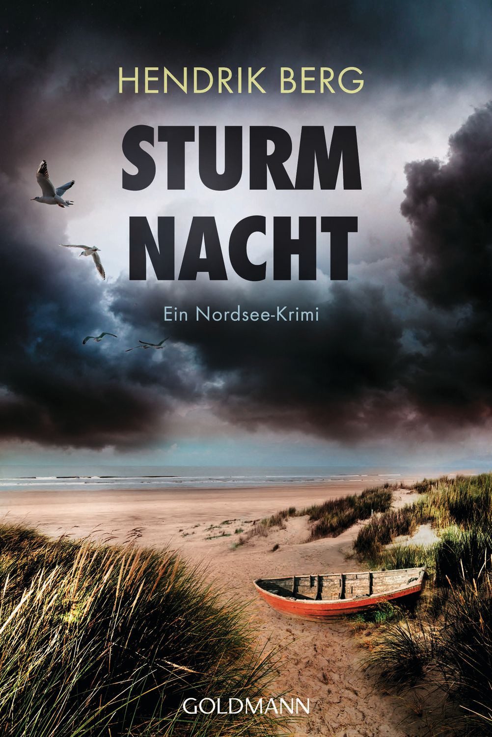 Sturmnacht / Hendrik Berg, Ein Nordsee-Krimi