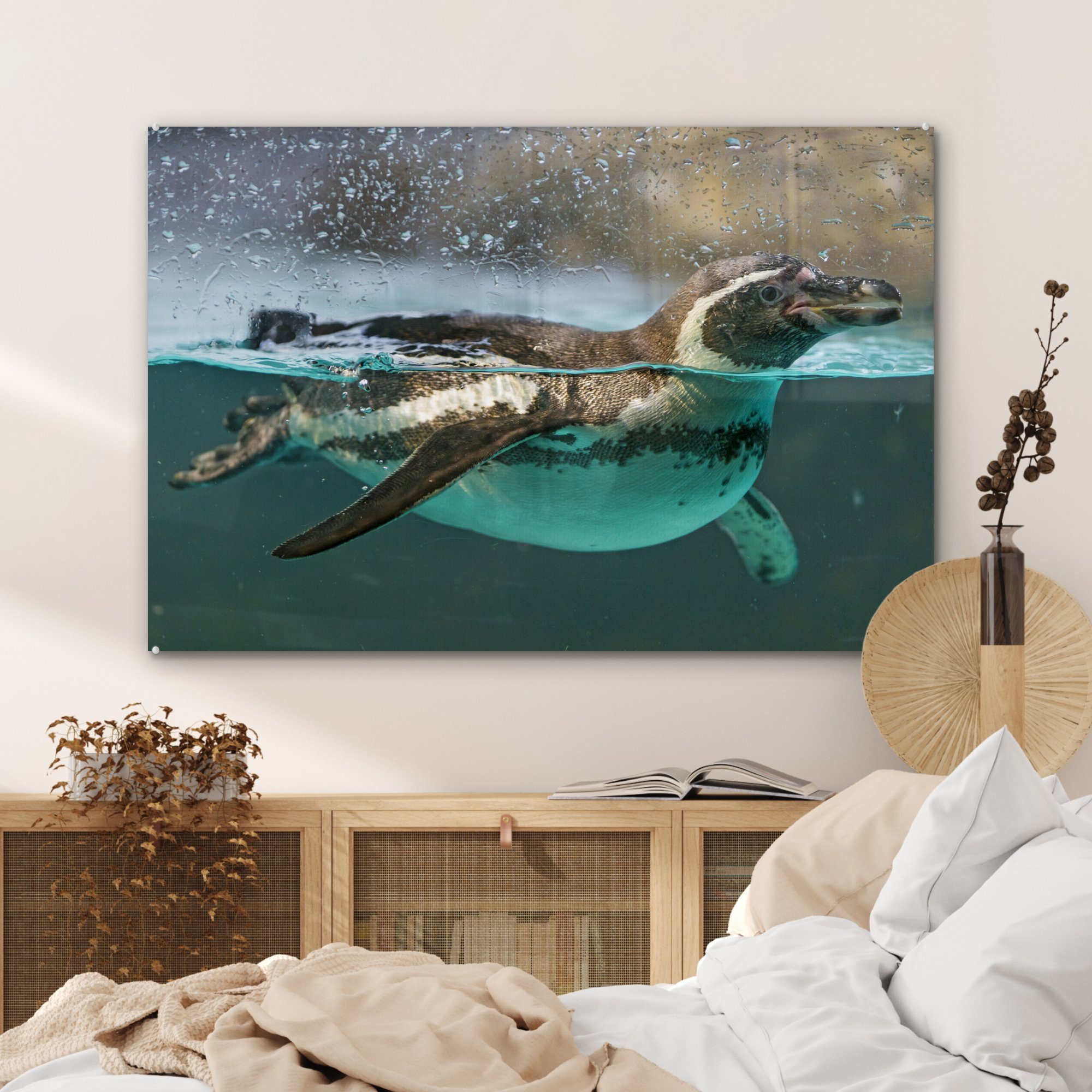 MuchoWow Humboldt-Pinguin Acrylglasbilder Schlafzimmer Acrylglasbild & der (1 auf Wohnzimmer St), Wasseroberfläche,