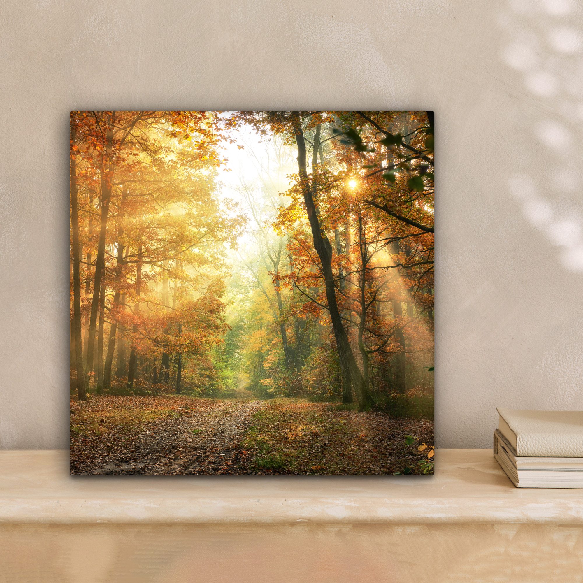 OneMillionCanvasses® Leinwandbild Wald - Herbst - Sonne - Landschaft - Natu günstig online kaufen