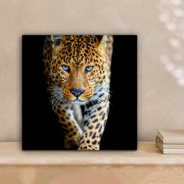 OneMillionCanvasses® Leinwandbild Leopard - Tiere - Porträt - Wildtiere - Schwarz, (1 St), Leinwand Bilder für Wohnzimmer Schlafzimmer, 20x20 cm