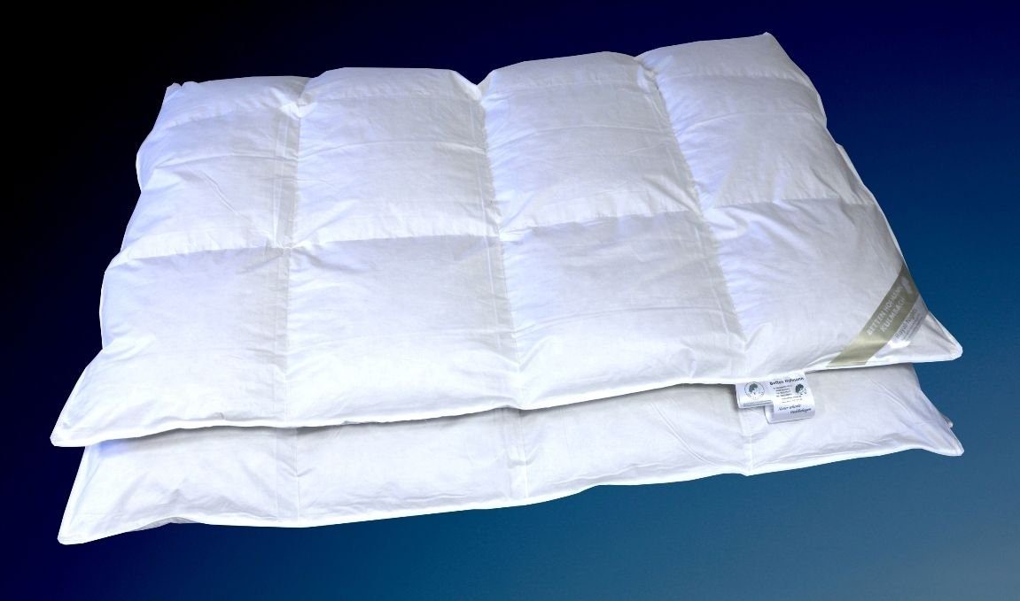 Betten Hofmann Daunenbettdecke Betten Hofmann Winter 8cm Hochsteg Daunenbet günstig online kaufen