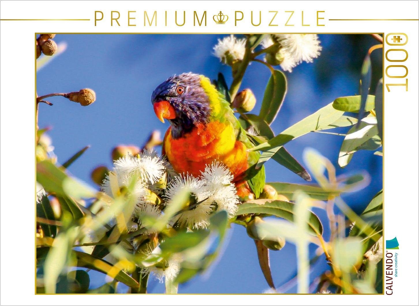 CALVENDO Puzzle CALVENDO Puzzle Allfarblori Australien 1000 Teile Lege-Größe 64 x 48 cm Foto-Puzzle Bild von Aussiefreak, 1000 Puzzleteile