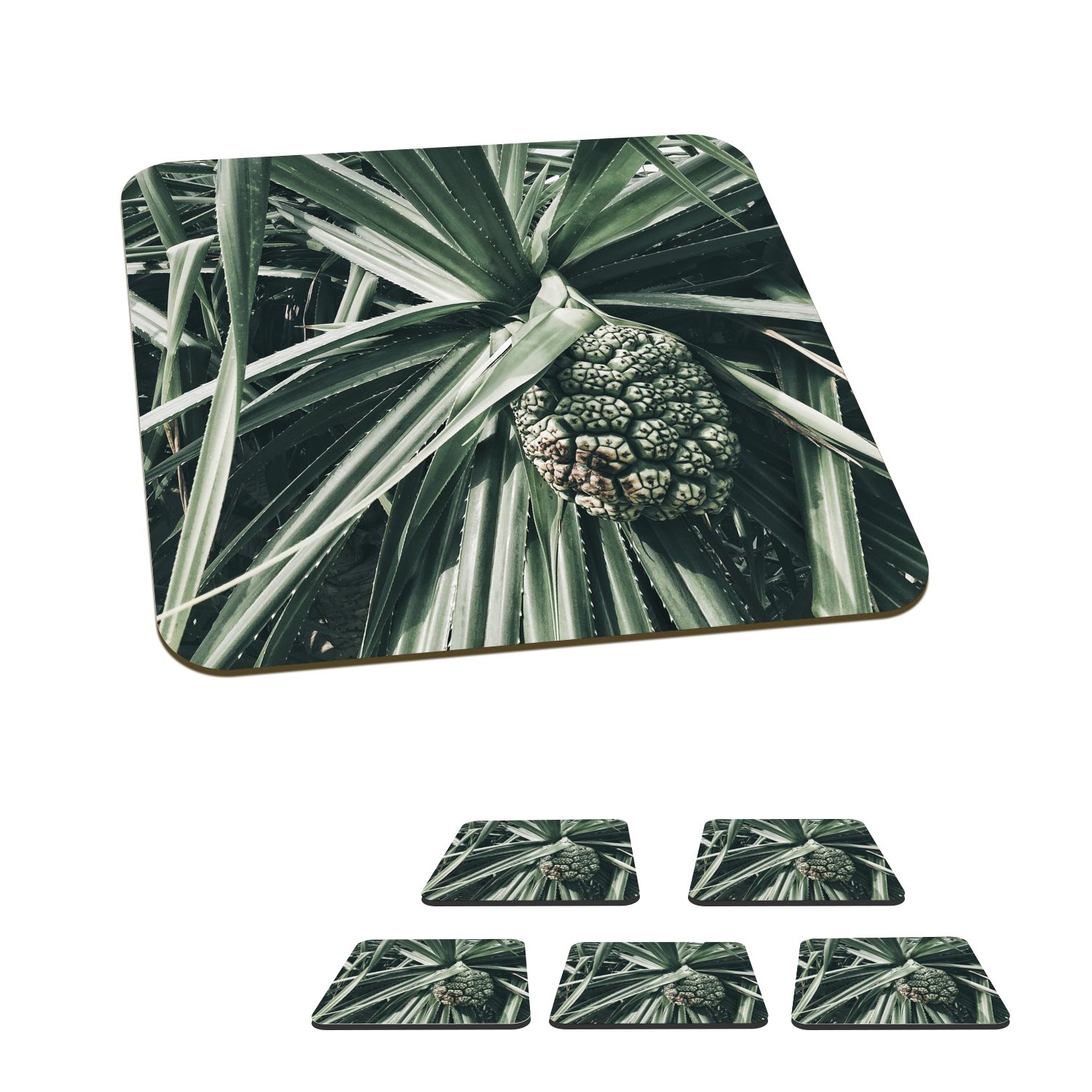 MuchoWow Glasuntersetzer Kaktus - Tropisch - Grün, Zubehör für Gläser, 6-tlg., Glasuntersetzer, Tischuntersetzer, Korkuntersetzer, Untersetzer, Tasse