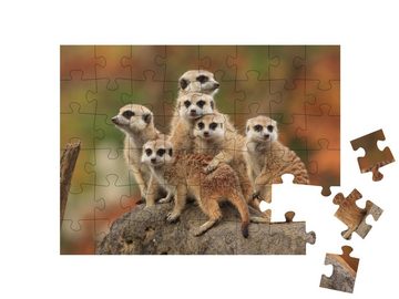 puzzleYOU Puzzle Gruppe von Erdmännchen, 48 Puzzleteile, puzzleYOU-Kollektionen Erdmännchen, Tiere in Savanne & Wüste