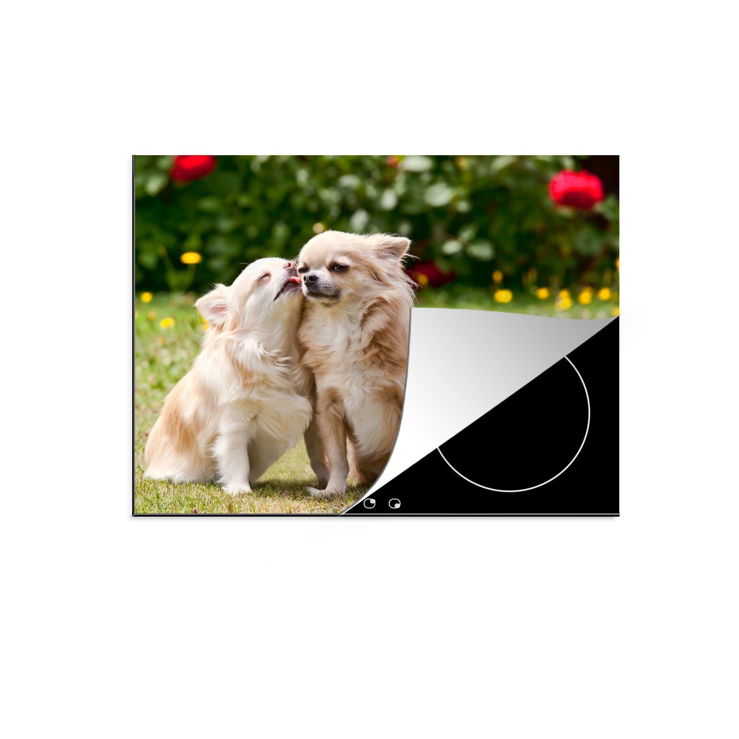 MuchoWow Herdblende-/Abdeckplatte Zwei Chihuahuas haben sich gegenseitig lieb, Vinyl, (1 tlg), 70x52 cm, Mobile Arbeitsfläche nutzbar, Ceranfeldabdeckung
