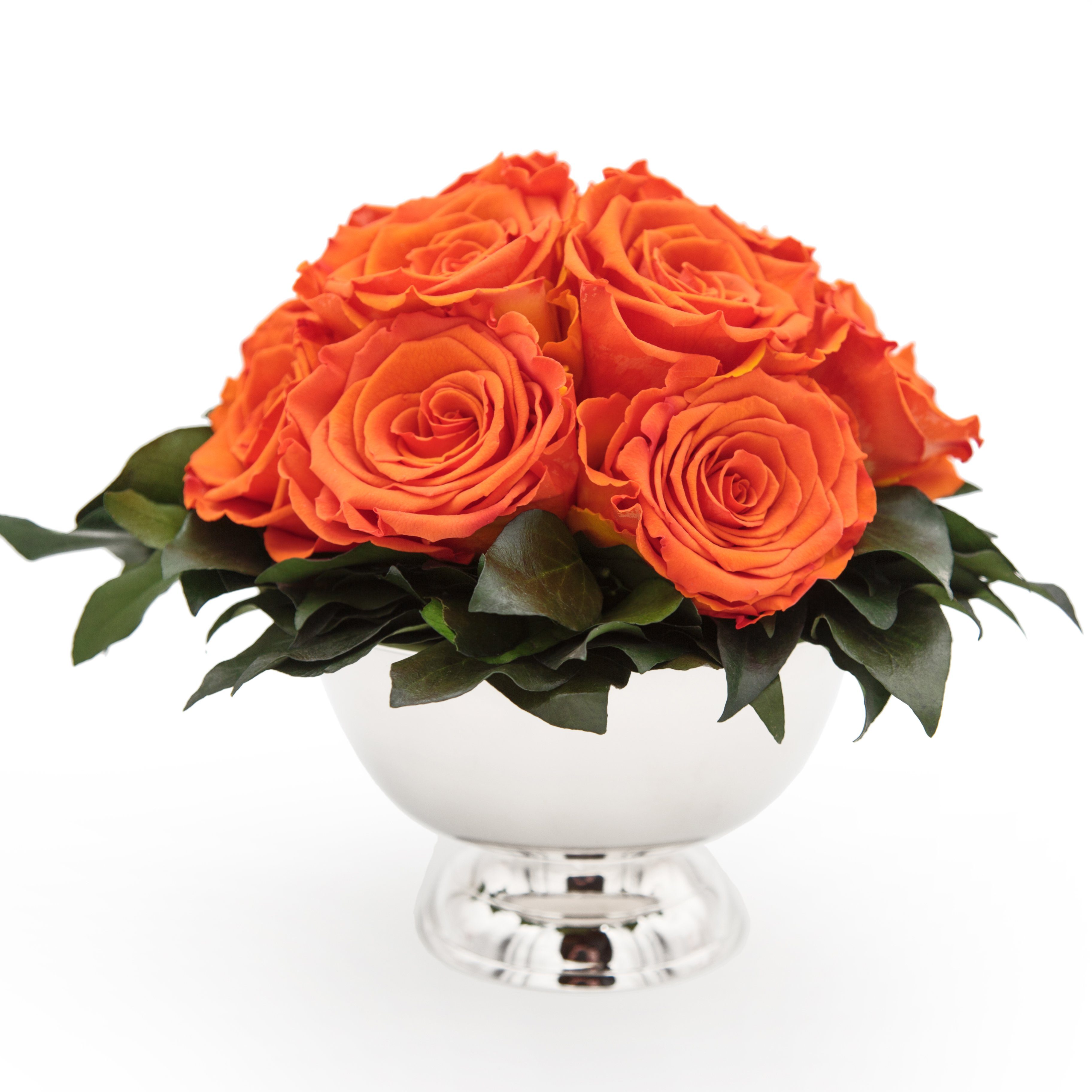 Kunstblume 11 Infinity Rosen in Blumenschale Blumenstrauß Rosenbox Rose, ROSEMARIE SCHULZ Heidelberg, Höhe 18 cm, Echte Blumen 3 Jahre haltbar I Geschenk für Frauen Orange