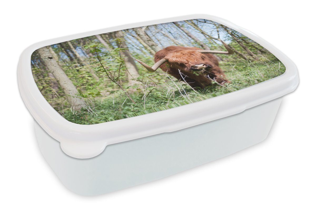 MuchoWow Lunchbox Schottischer Highlander - Wald - Schottische Kuh, Kunststoff, (2-tlg), Brotbox für Kinder und Erwachsene, Brotdose, für Jungs und Mädchen weiß