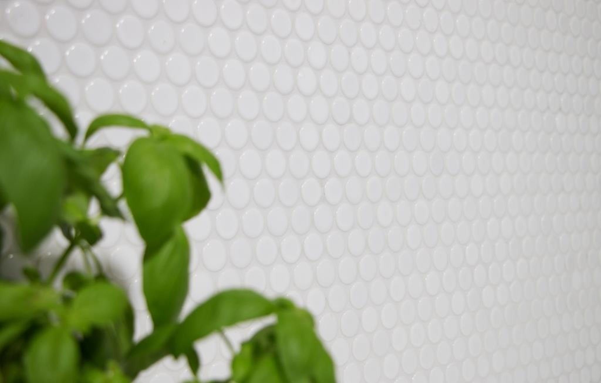 Knopfmosaik BAD, Bodengeeignet weiß glänzend Rundmosaik Mosani weiß, LOOP Dusche Küche Wand Keramik Mosaikfliesen Frostbeständig