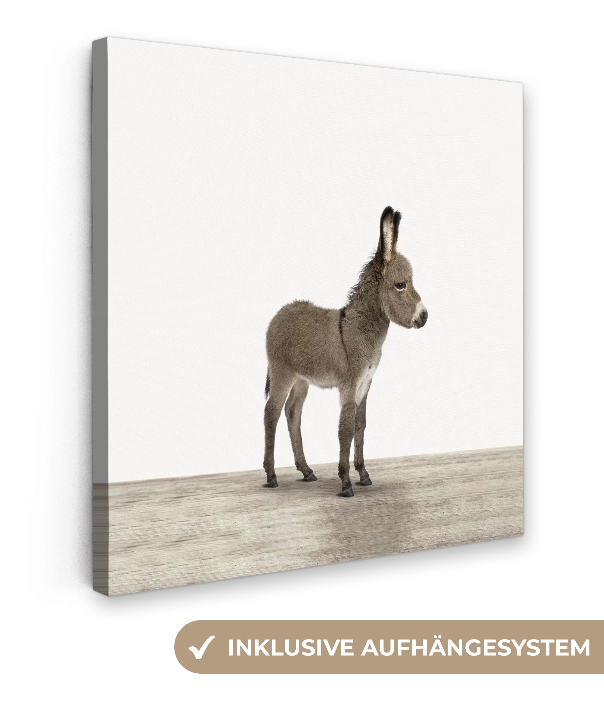 OneMillionCanvasses® Leinwandbild Esel - Tiere - Kinder - Niedlich - Mädchen - Jungen, Fotodruck (1 St), Wandbild, Deko Schlafzimmer Wohnzimmer Flur 20x20 cm