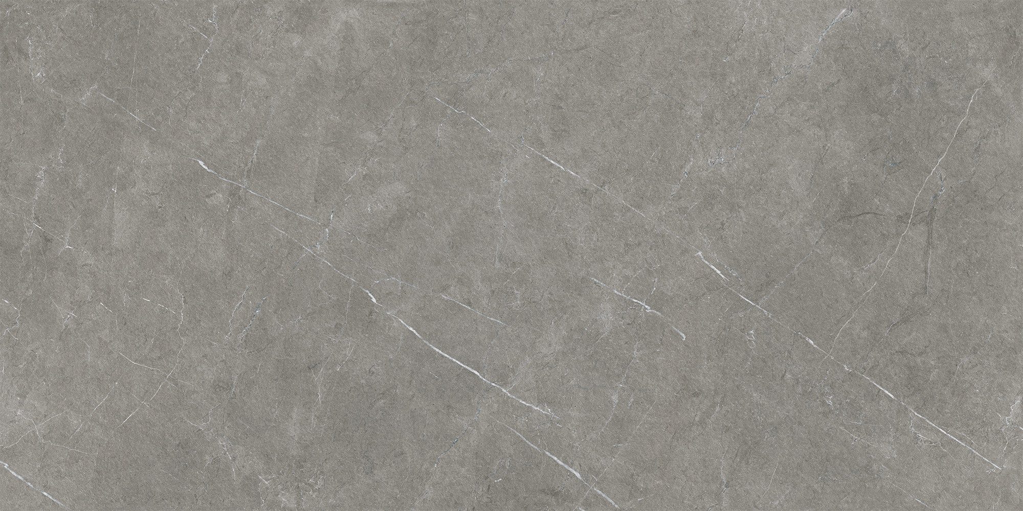 Bodenfliese 1 Paket (1,44 m) Плитка FORLI DARK GREY (60 × 120 cm), matt, grau, Küche Wand Badzimmer Flur Duschwand Bodenbelag Steinoptik
