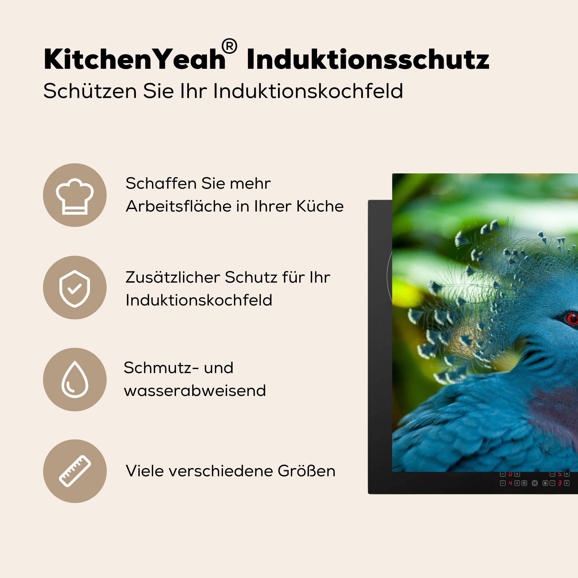 einer Ceranfeldabdeckung, Arbeitsplatte für Kopfes des küche (1 cm, 78x78 Vinyl, Tierporträt Fächertaube, MuchoWow tlg), Herdblende-/Abdeckplatte