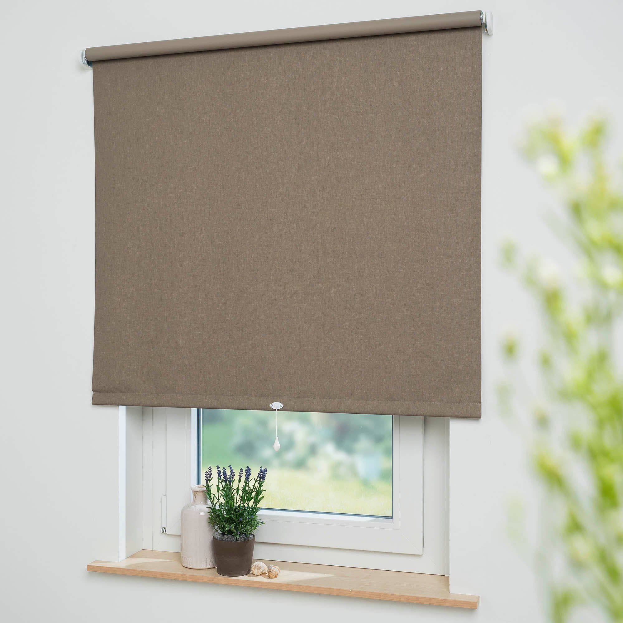 Springrollo Uni, Liedeco, verdunkelnd, mit Bohren, günstig online kaufen